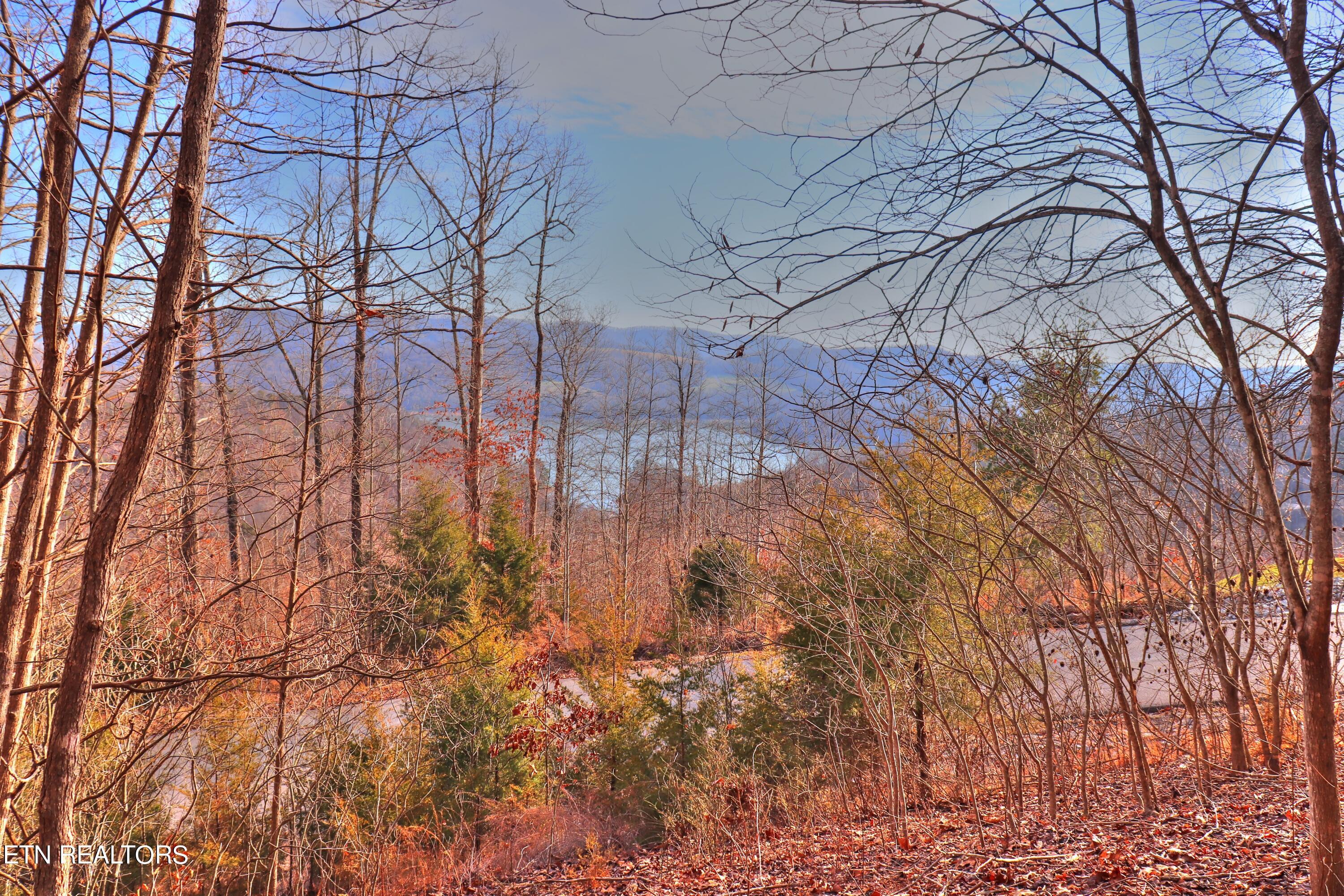 Norris Lake Real Estate - Image# 13