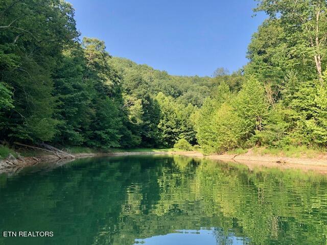 Norris Lake Real Estate - Image# 11