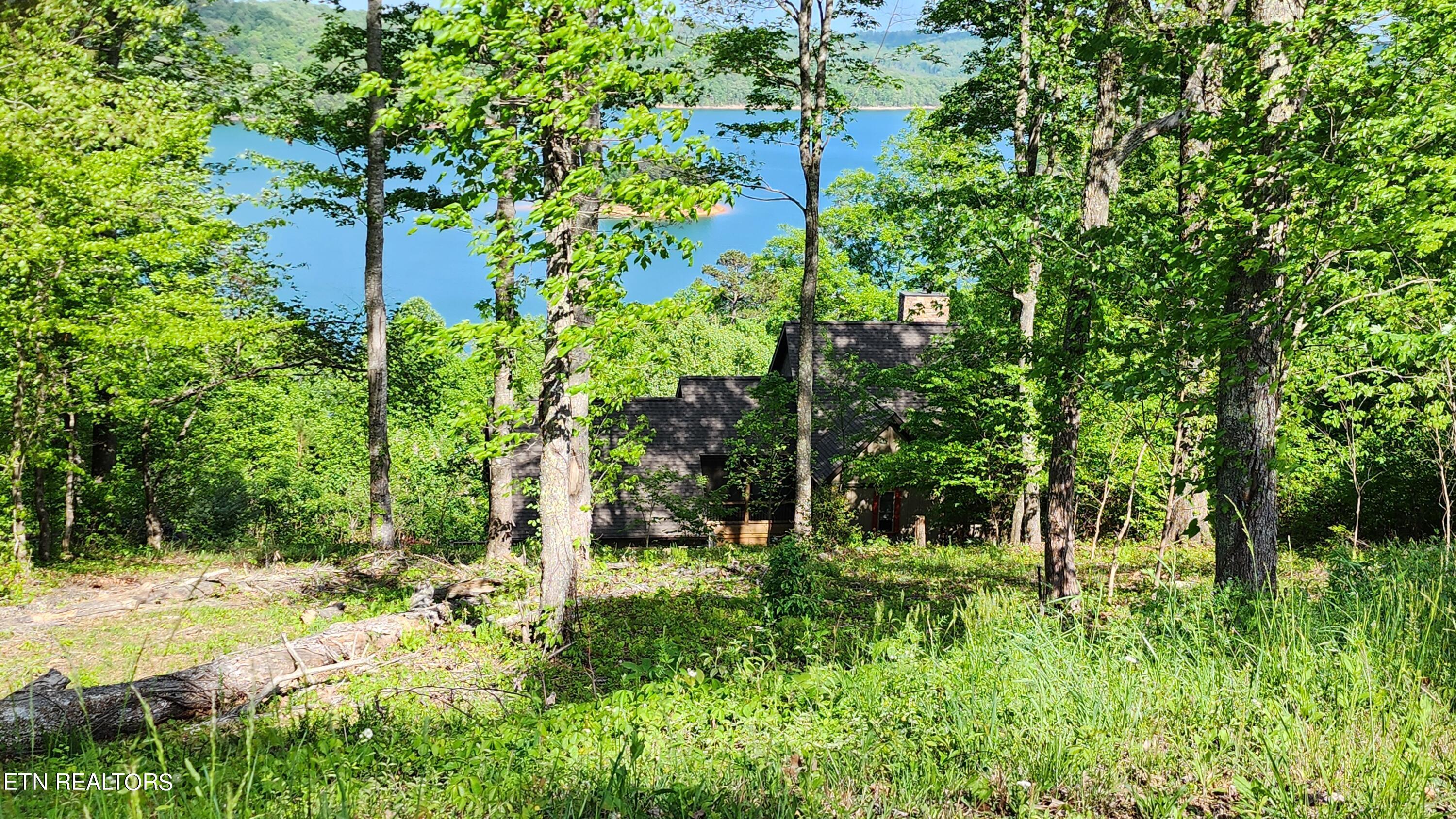 Norris Lake Real Estate - Image# 4