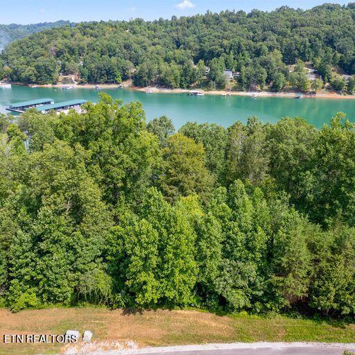 Norris Lake Real Estate - Image# 1