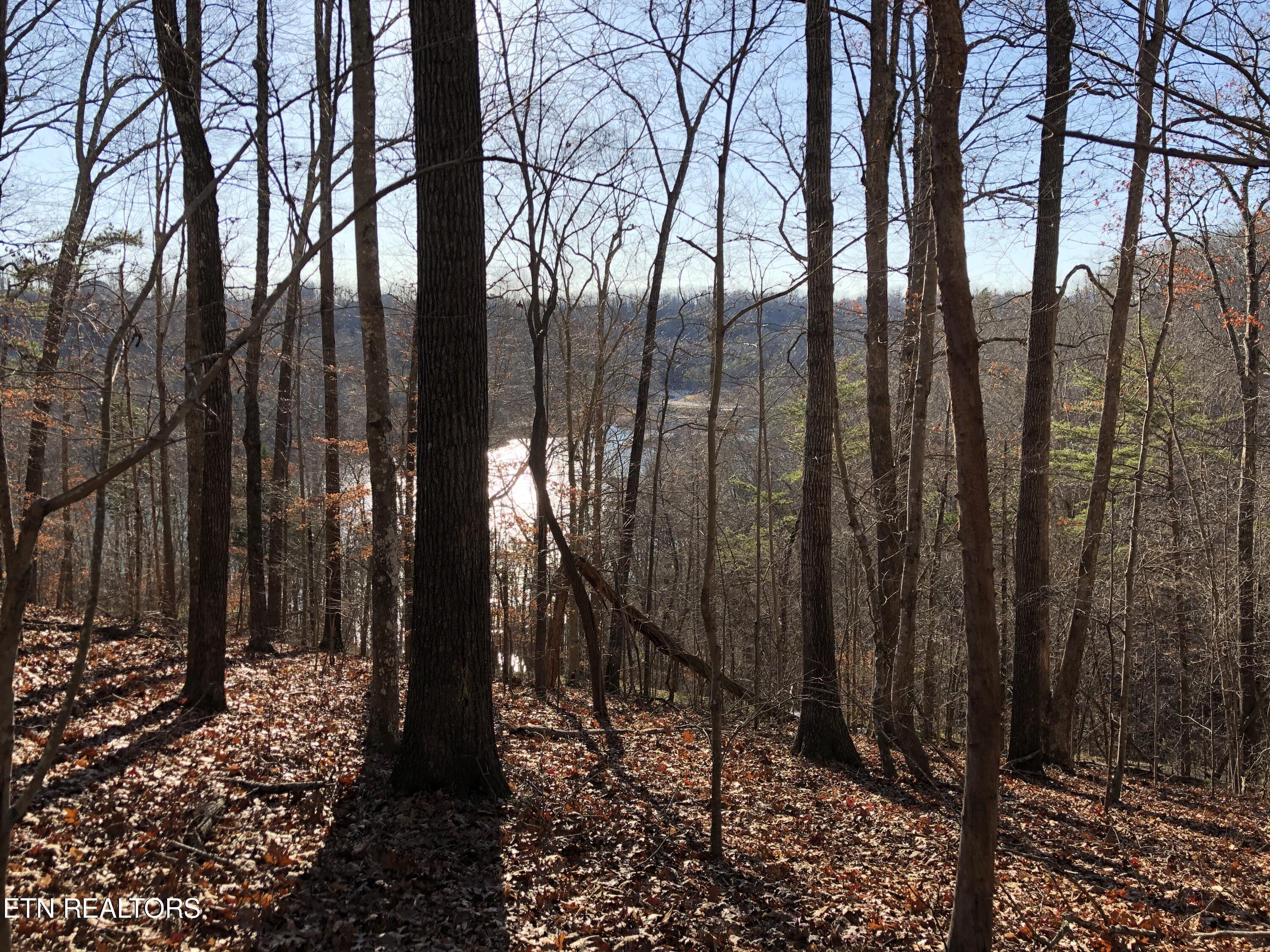 Norris Lake Real Estate - Image# 3