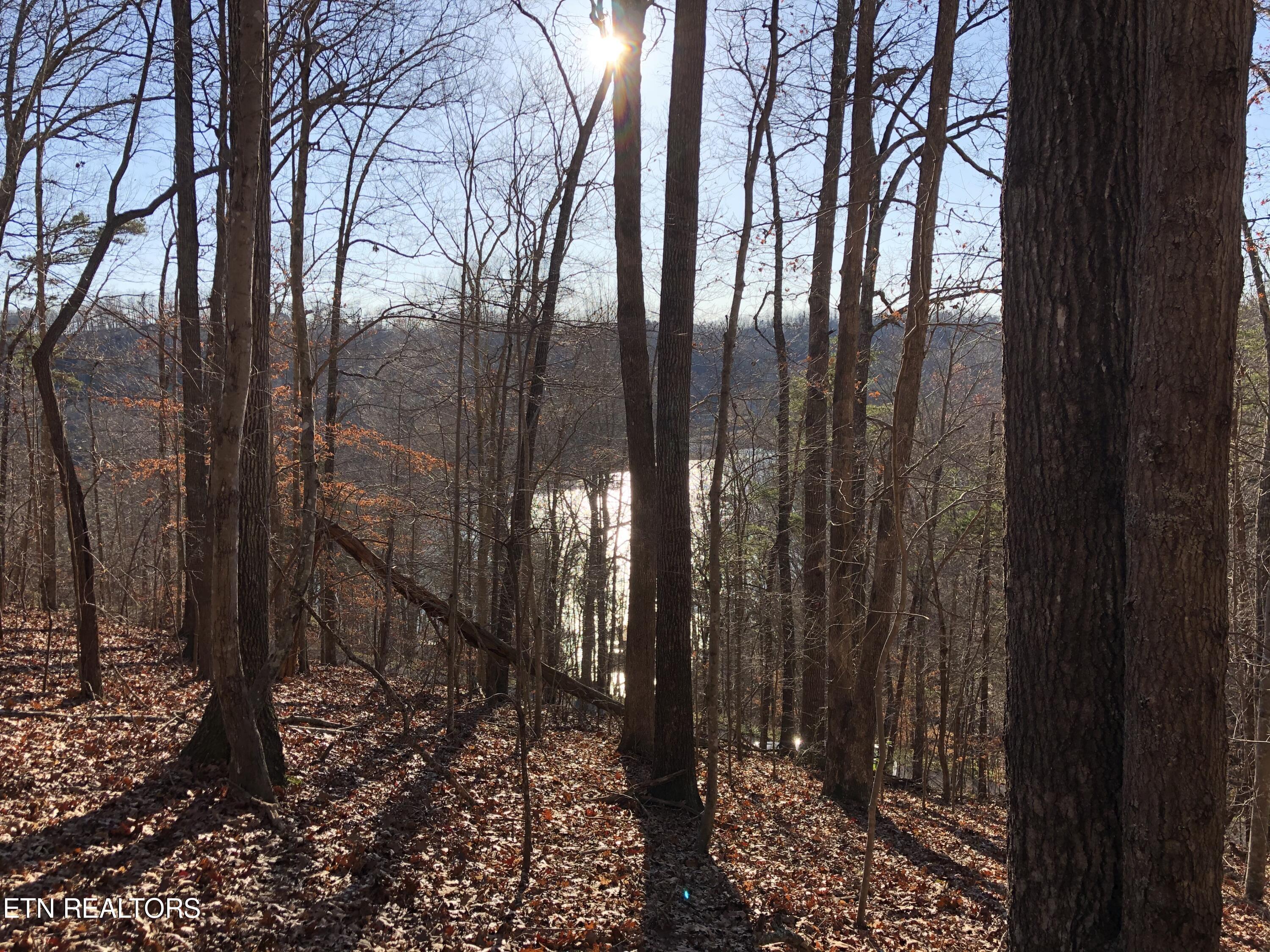 Norris Lake Real Estate - Image# 4