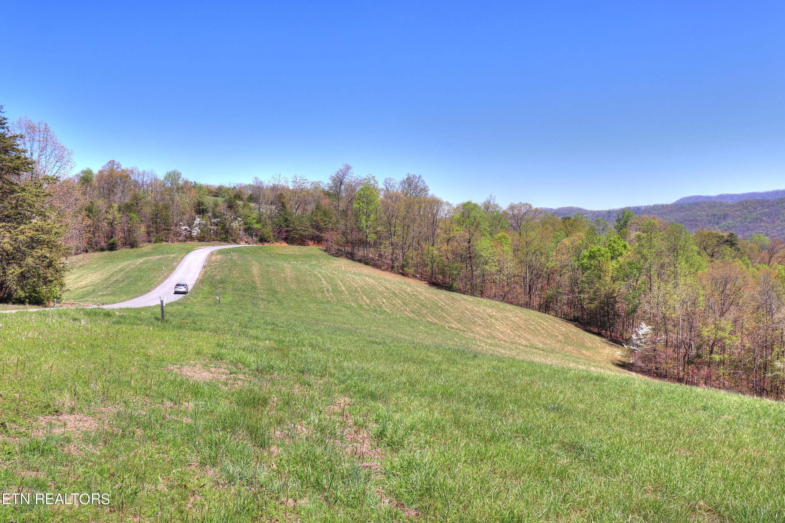 Norris Lake Real Estate - Image# 6