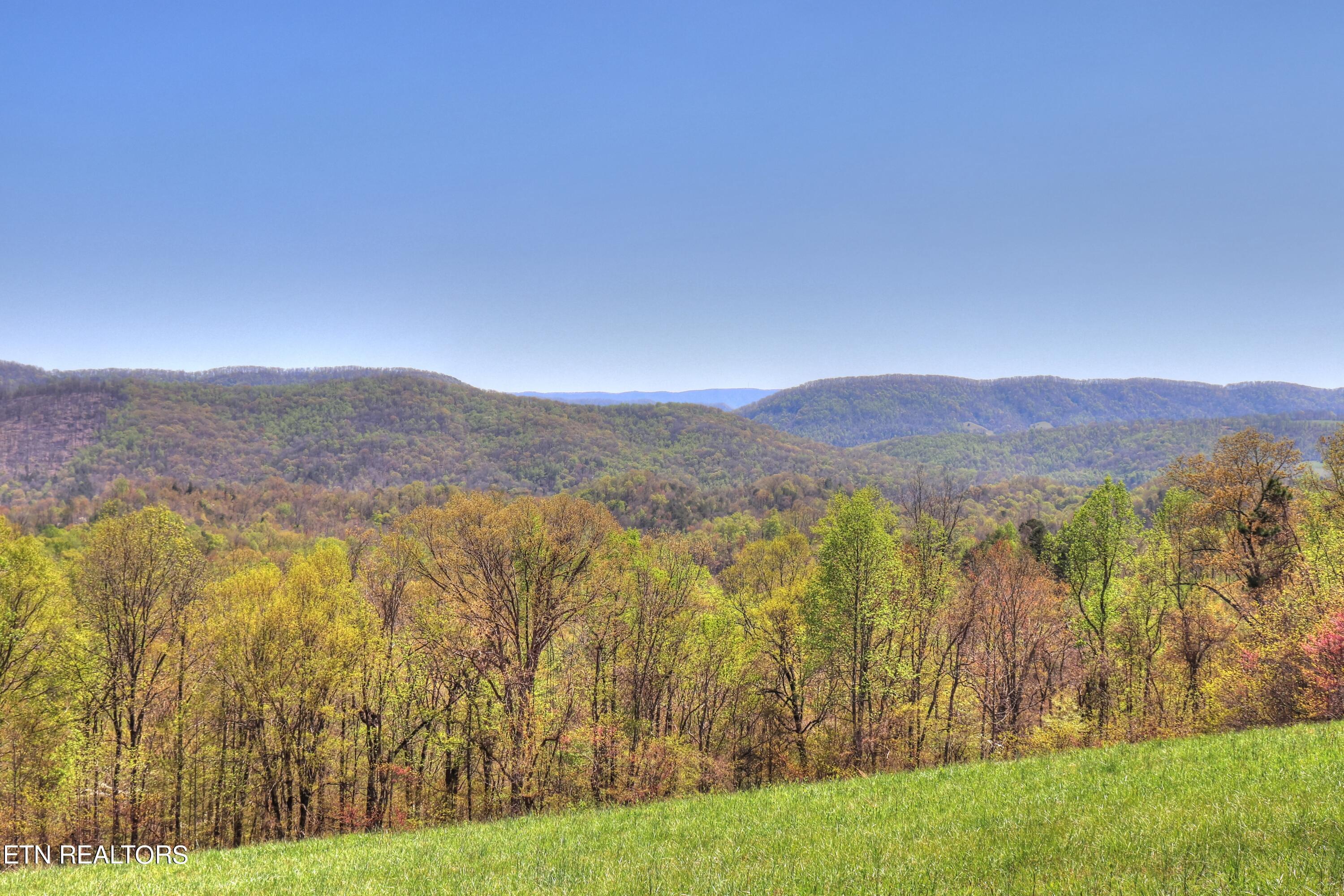 Norris Lake Real Estate - Image# 8