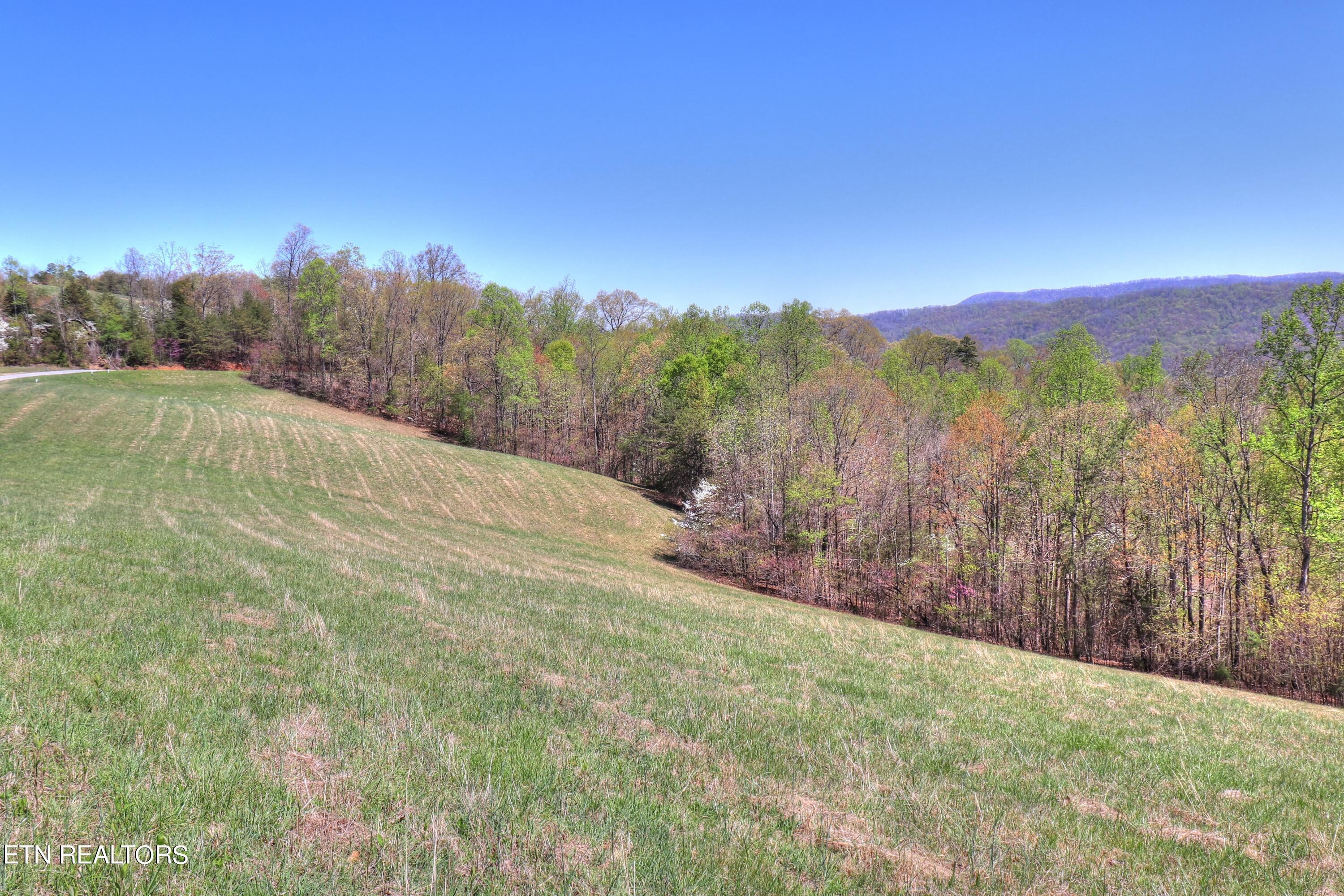 Norris Lake Real Estate - Image# 9