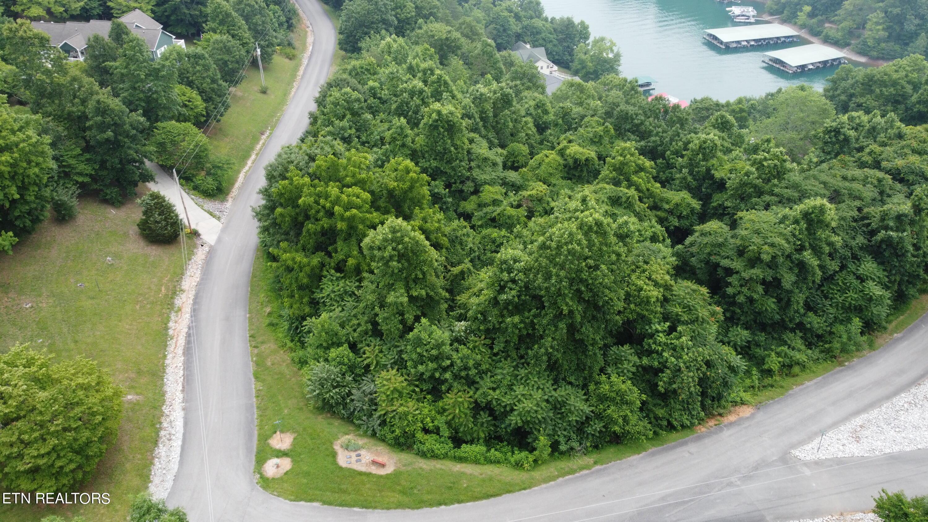 Norris Lake Real Estate - Image# 3