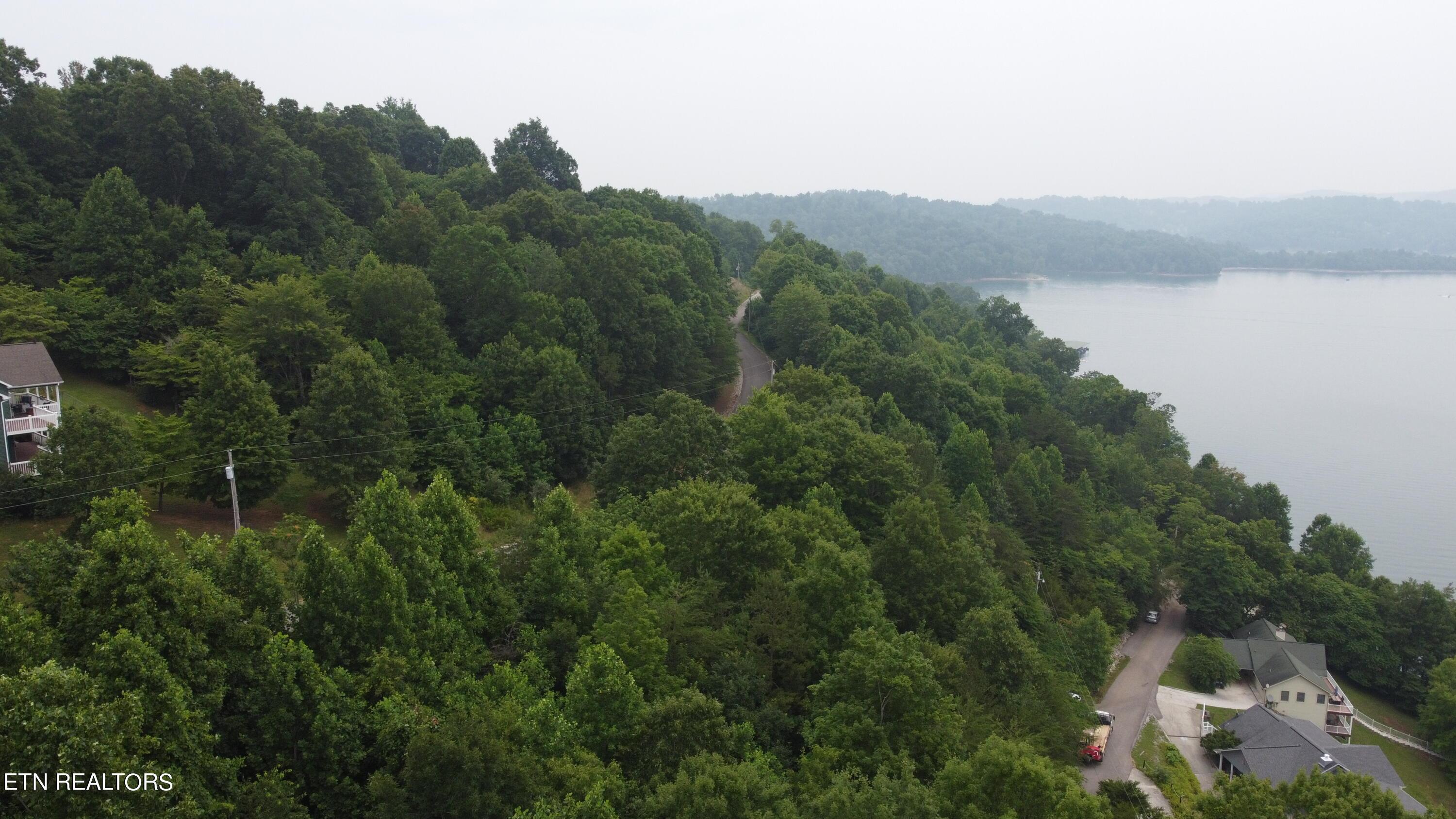 Norris Lake Real Estate - Image# 4