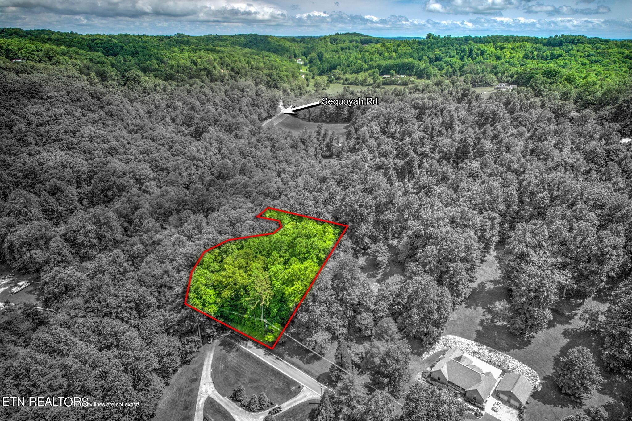 Norris Lake Real Estate - Image# 4