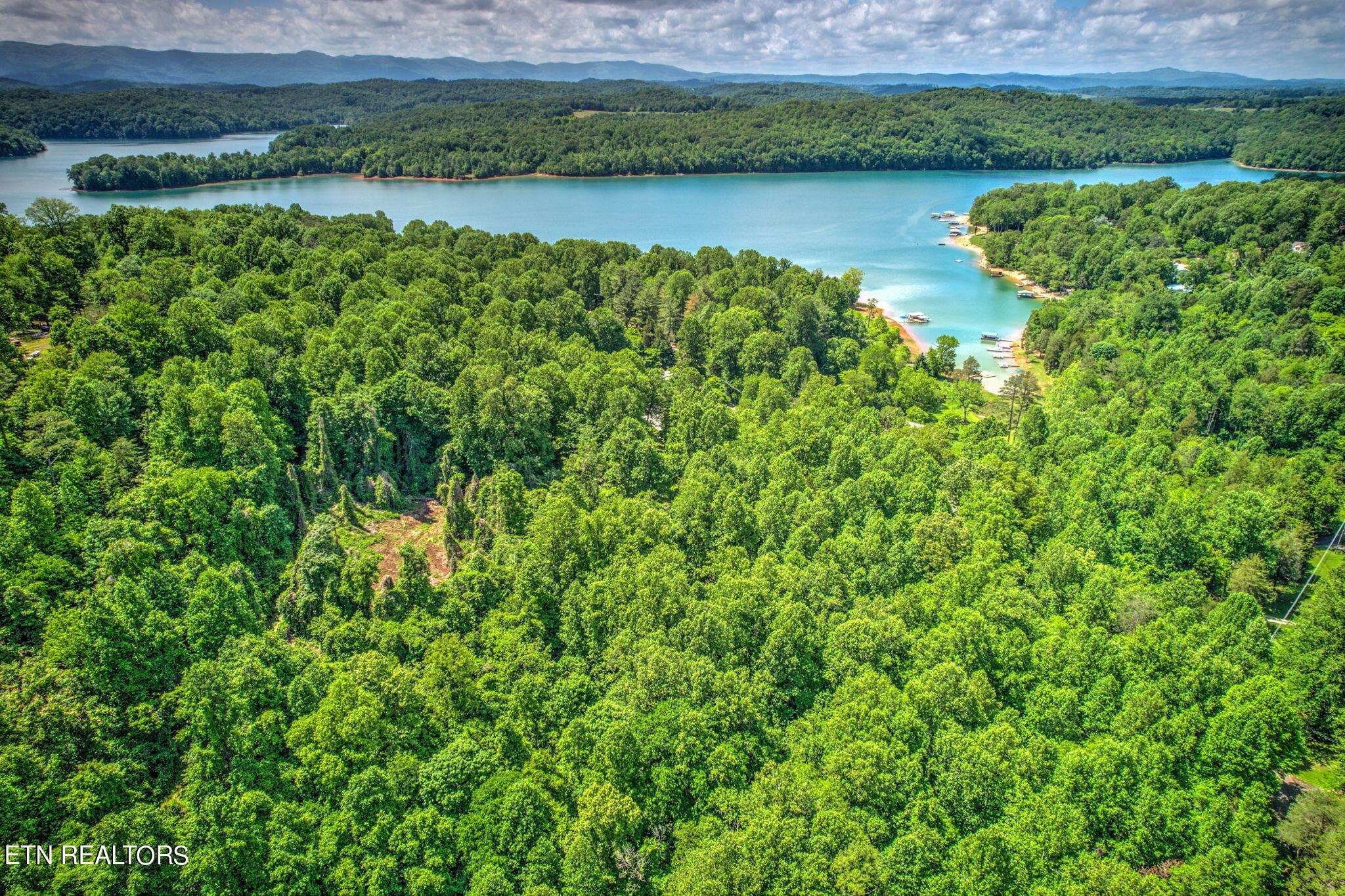 Norris Lake Real Estate - Image# 7