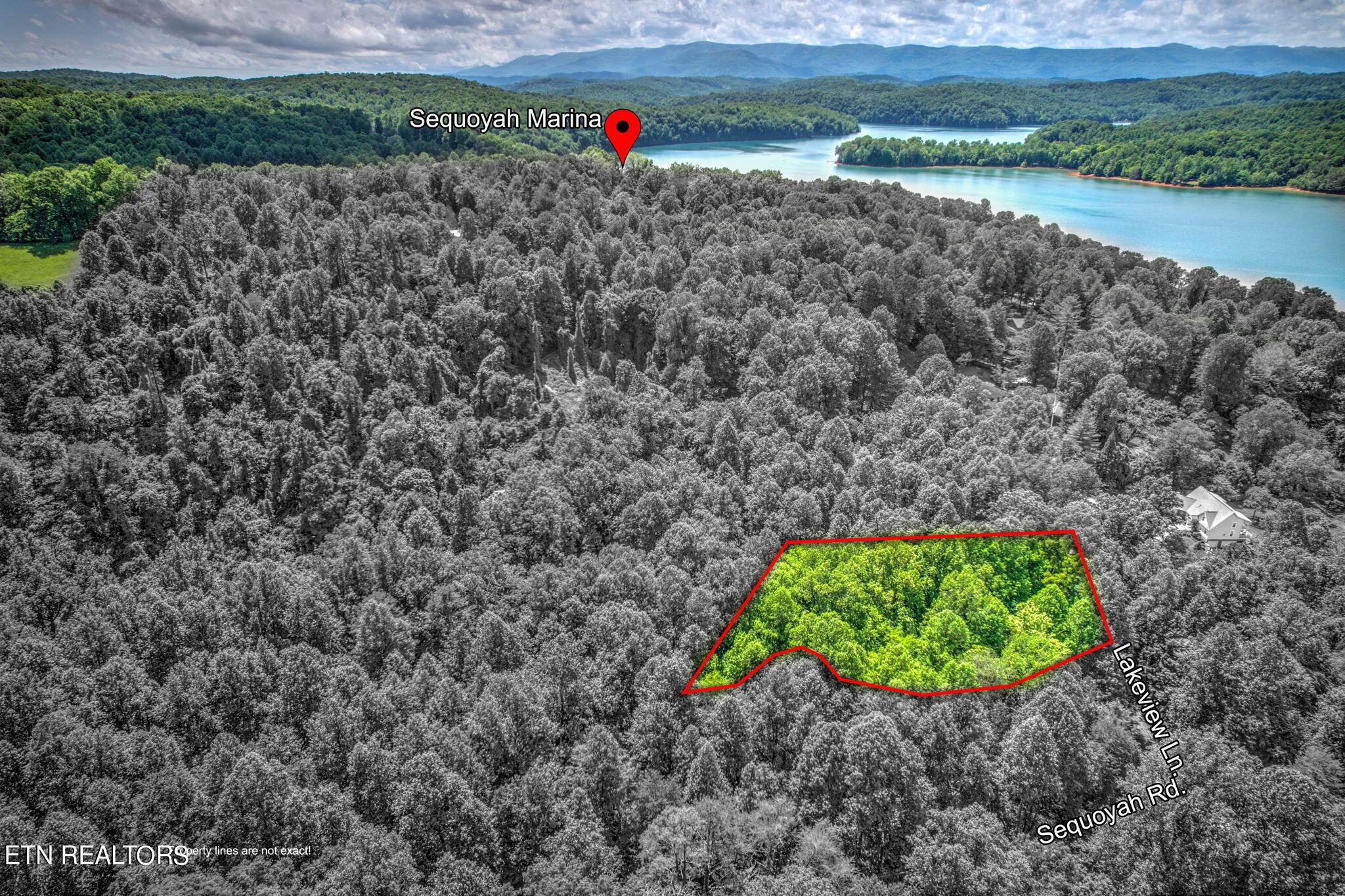 Norris Lake Real Estate - Image# 8