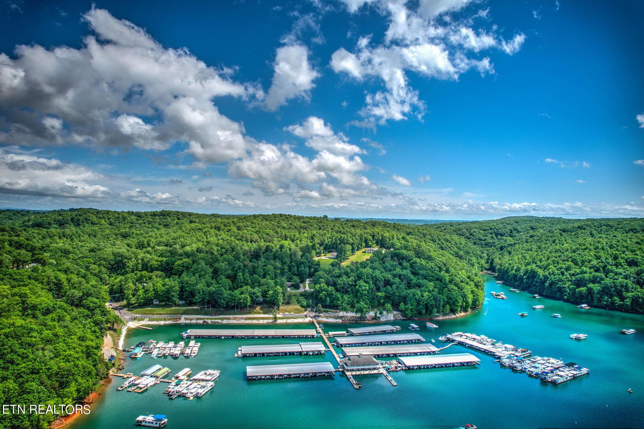 Norris Lake Real Estate - Image# 10