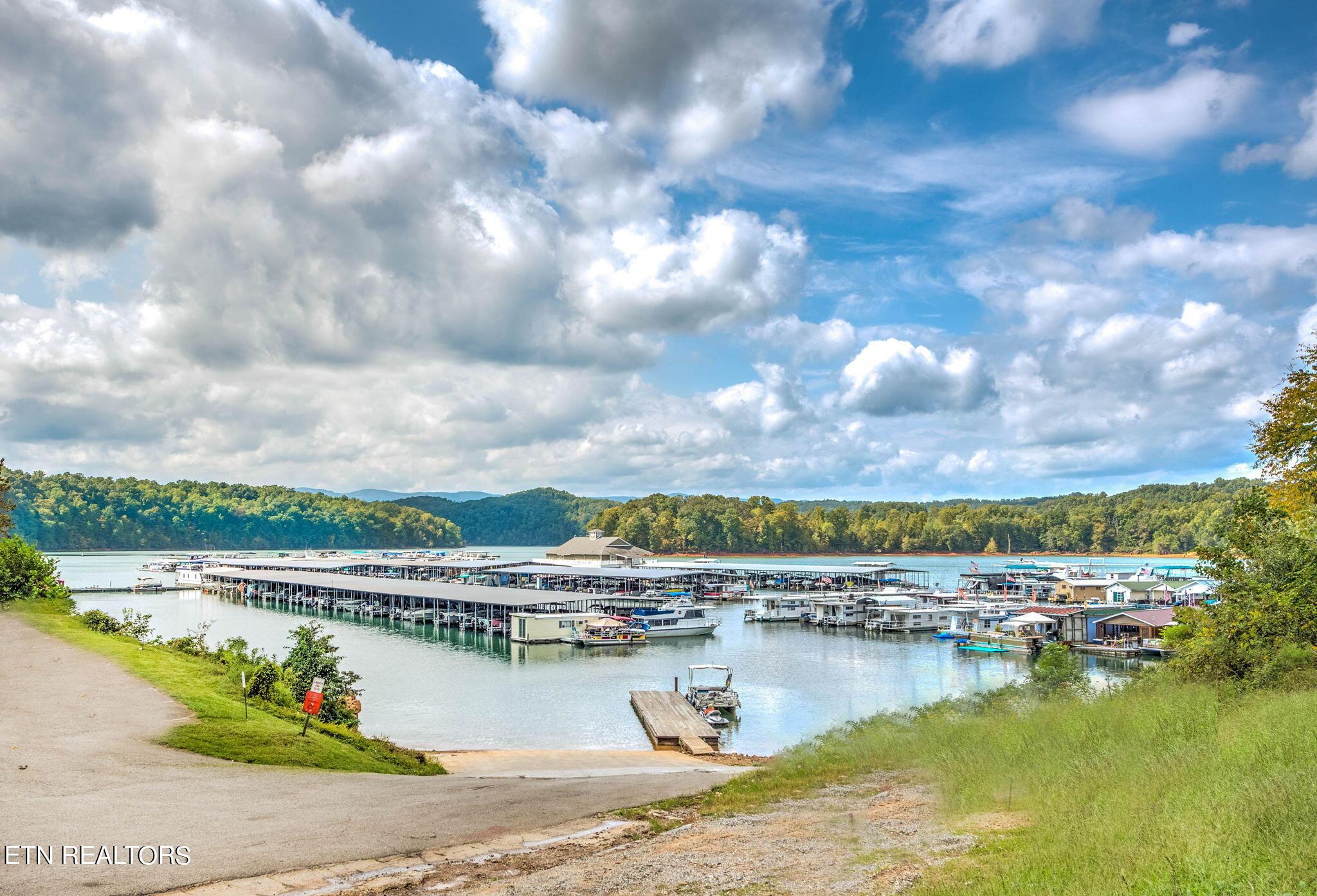 Norris Lake Real Estate - Image# 11