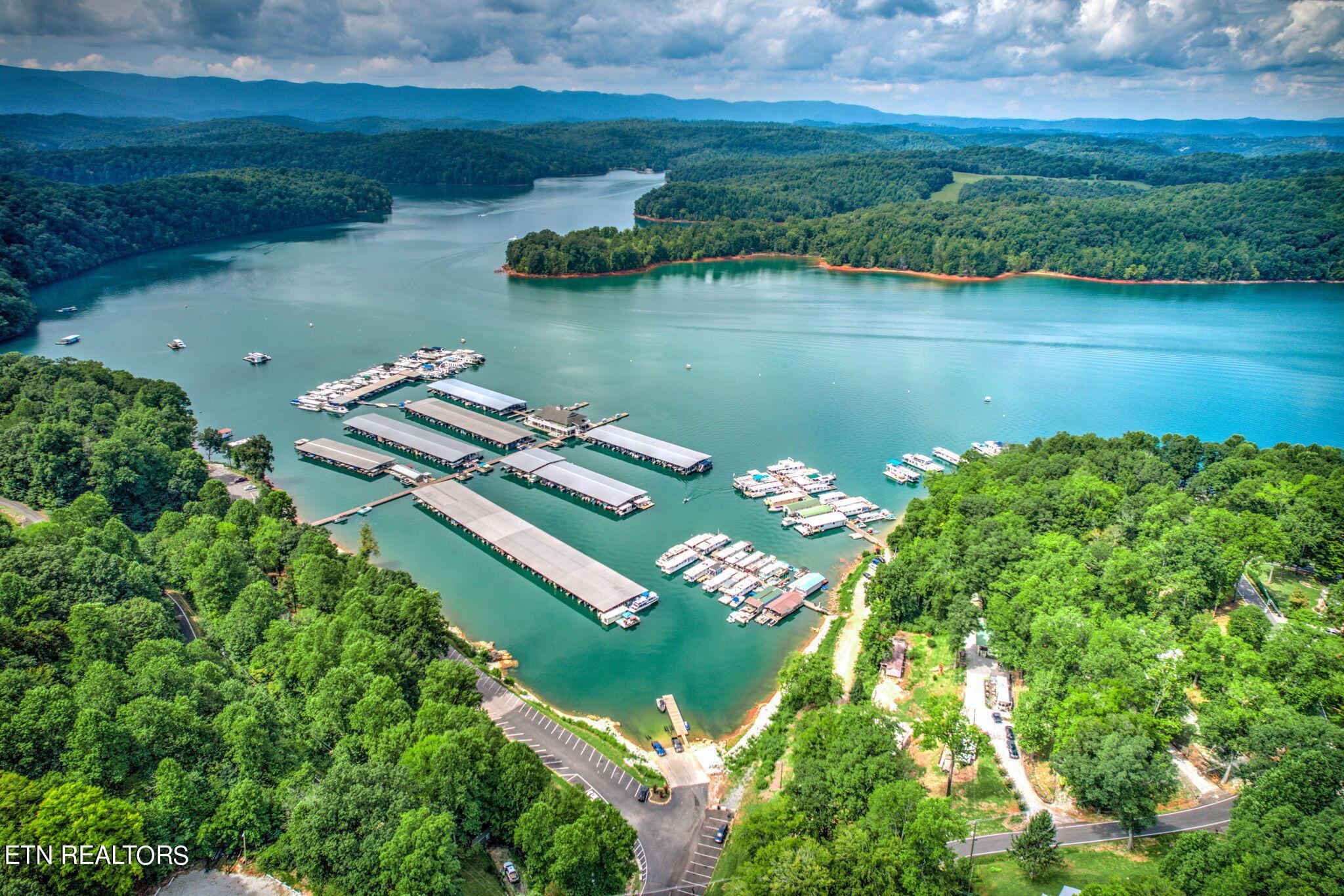 Norris Lake Real Estate - Image# 12