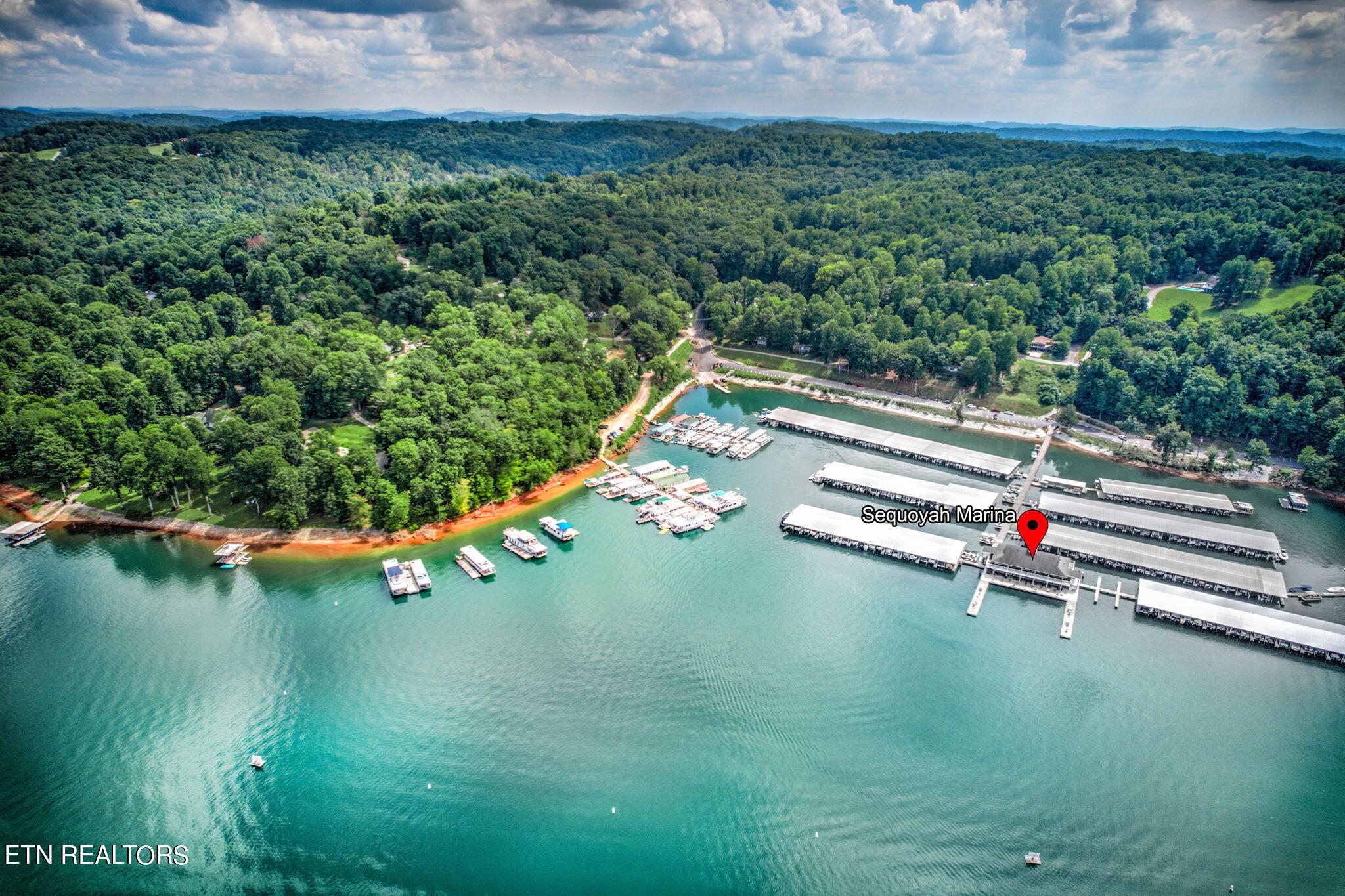 Norris Lake Real Estate - Image# 13