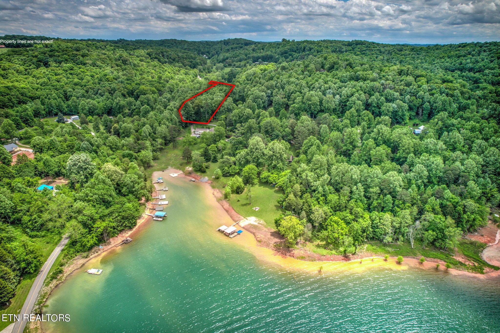 Norris Lake Real Estate - Image# 2