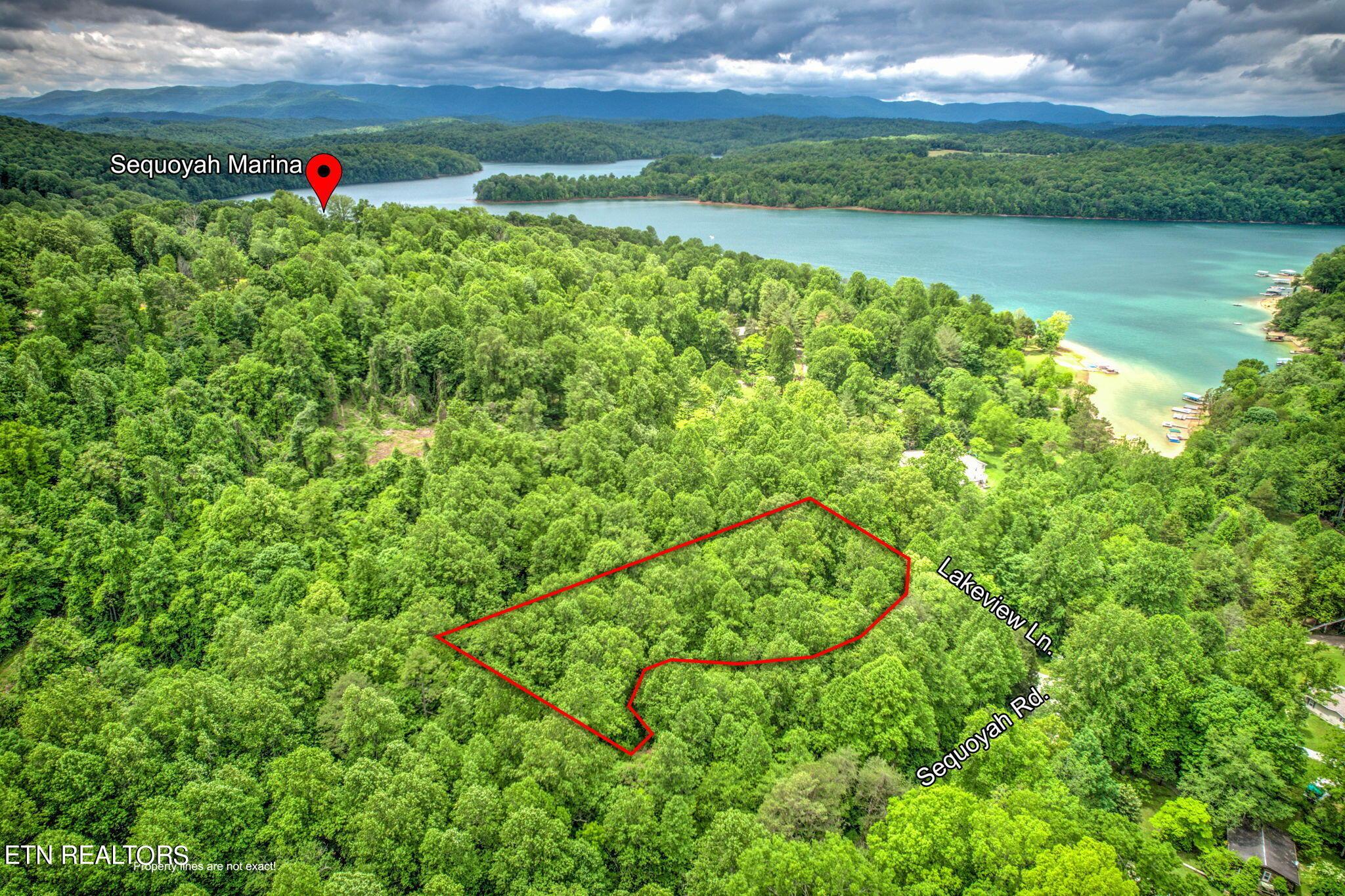 Norris Lake Real Estate - Image# 3