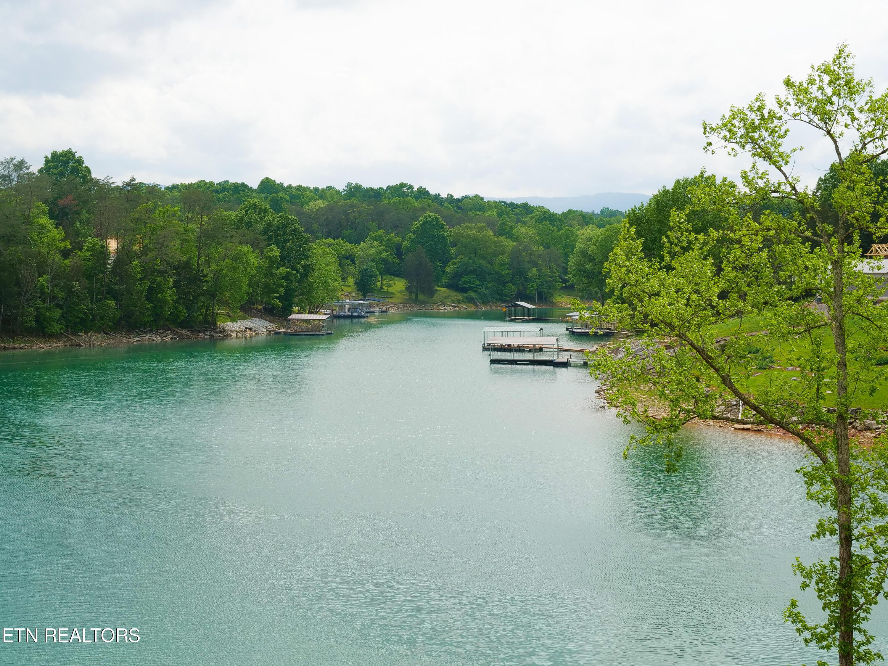 Norris Lake Real Estate - Image# 14