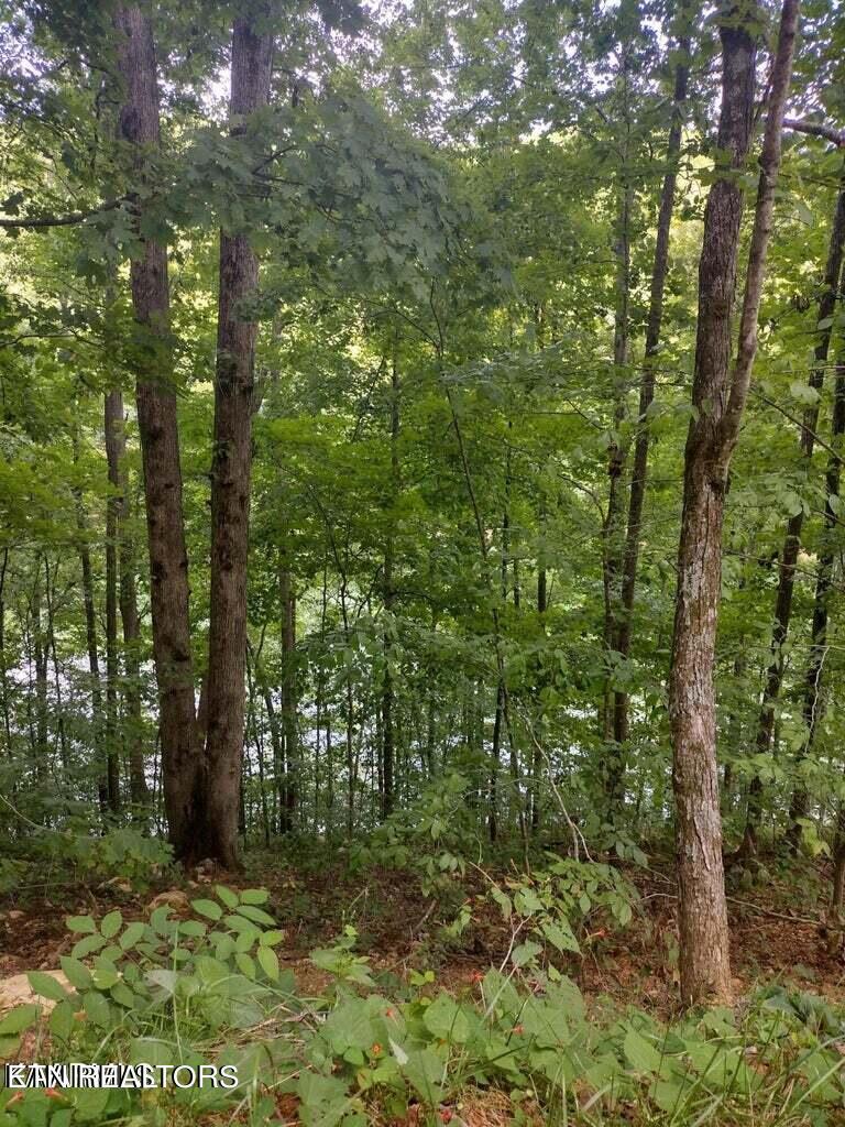 Norris Lake Real Estate - Image# 2