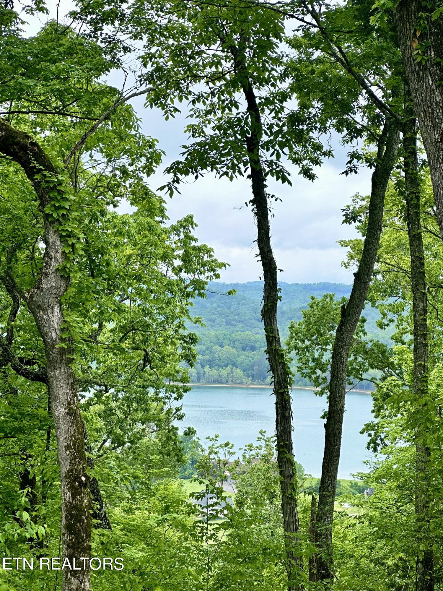 Norris Lake Real Estate - Image# 4