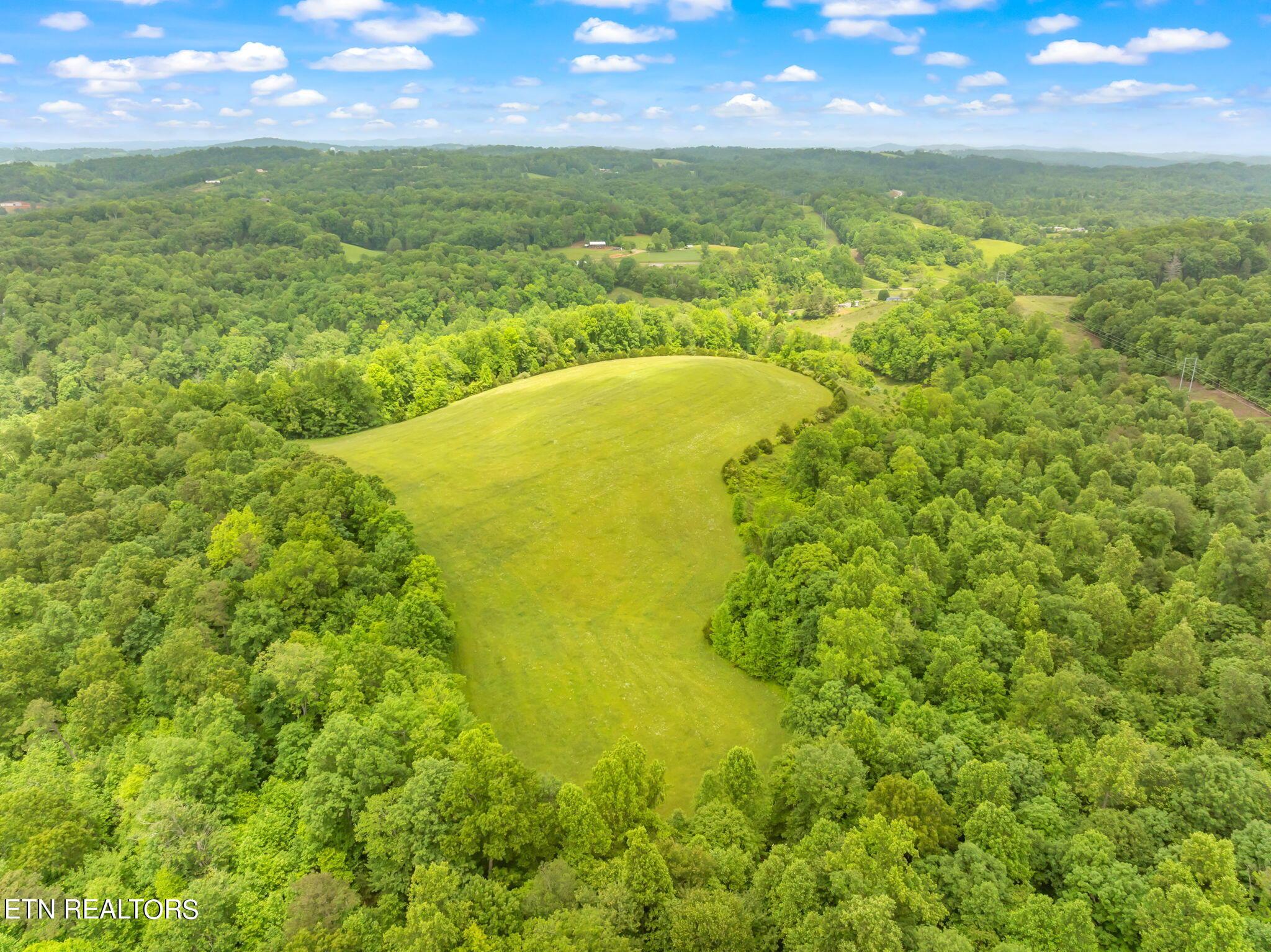 Norris Lake Real Estate - Image# 15