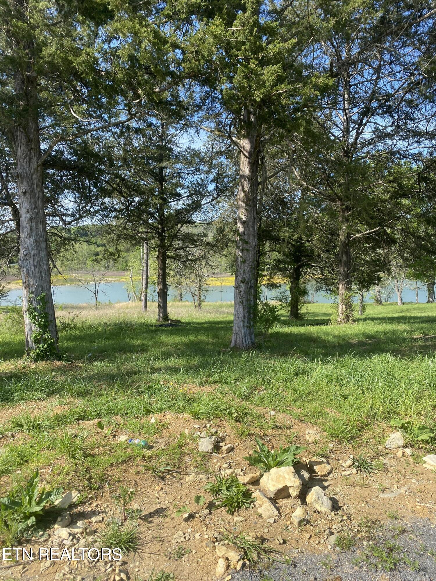 Norris Lake Real Estate - Image# 10