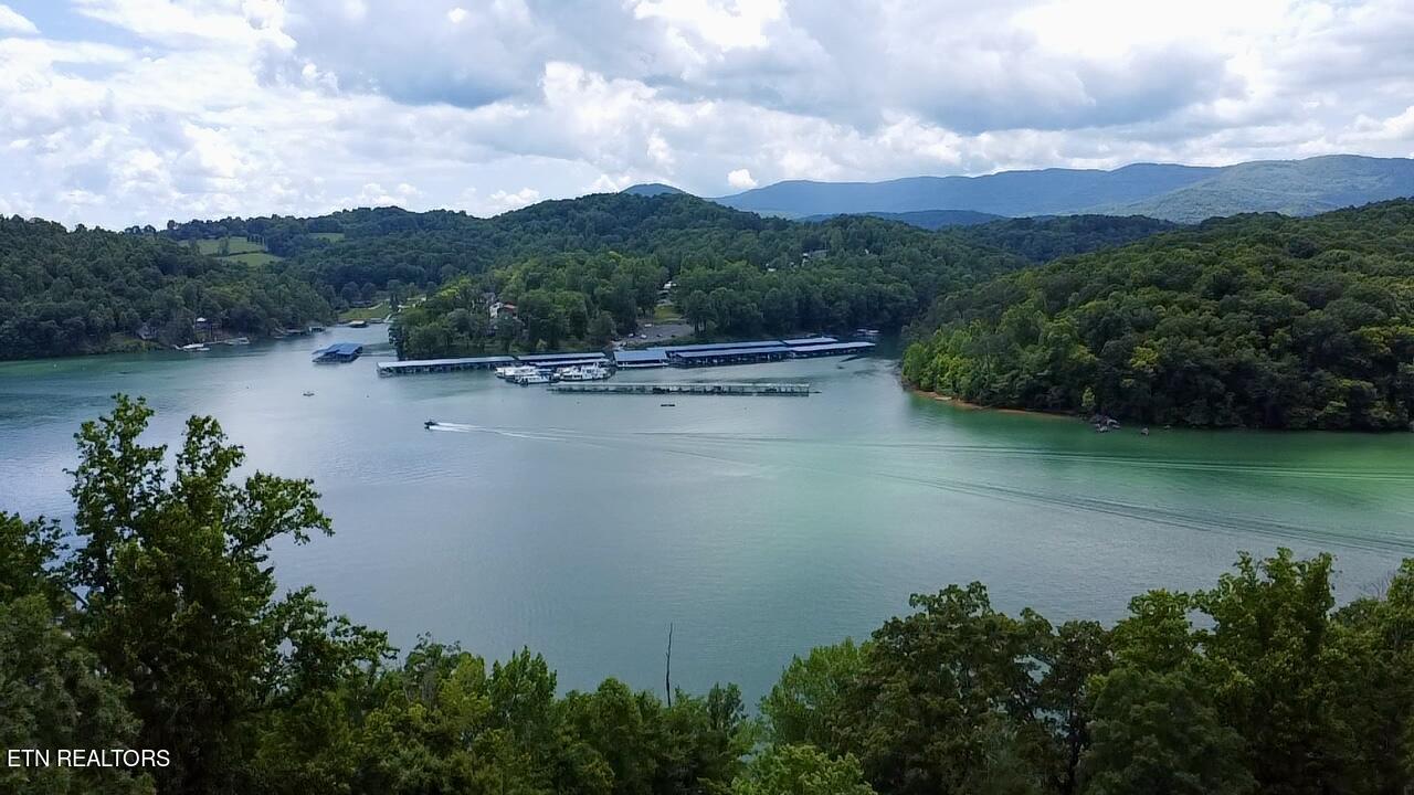 Norris Lake Real Estate - Image# 4