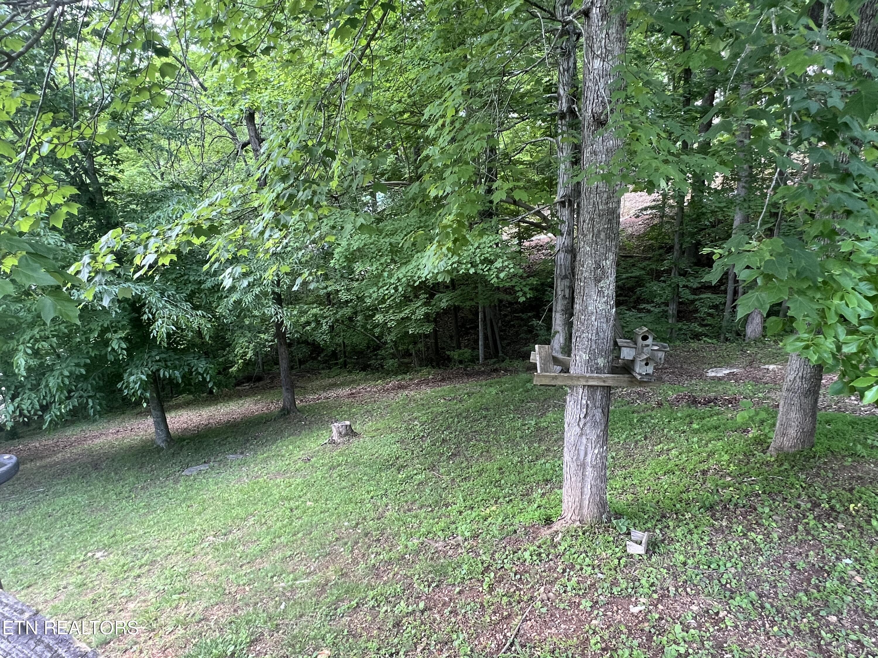 Norris Lake Real Estate - Image# 7