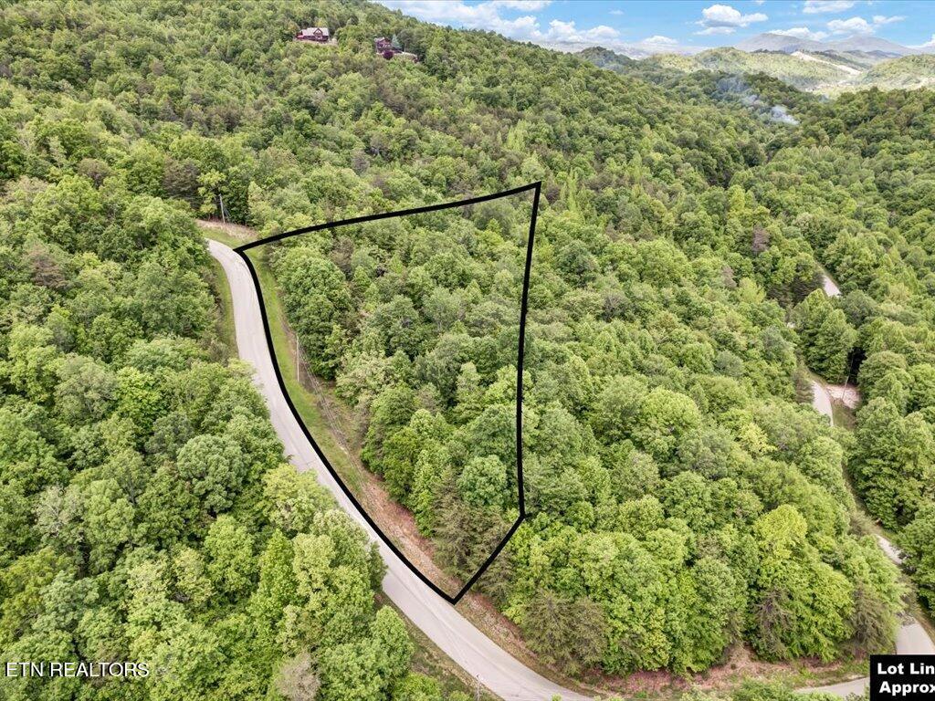 Norris Lake Real Estate - Image# 2