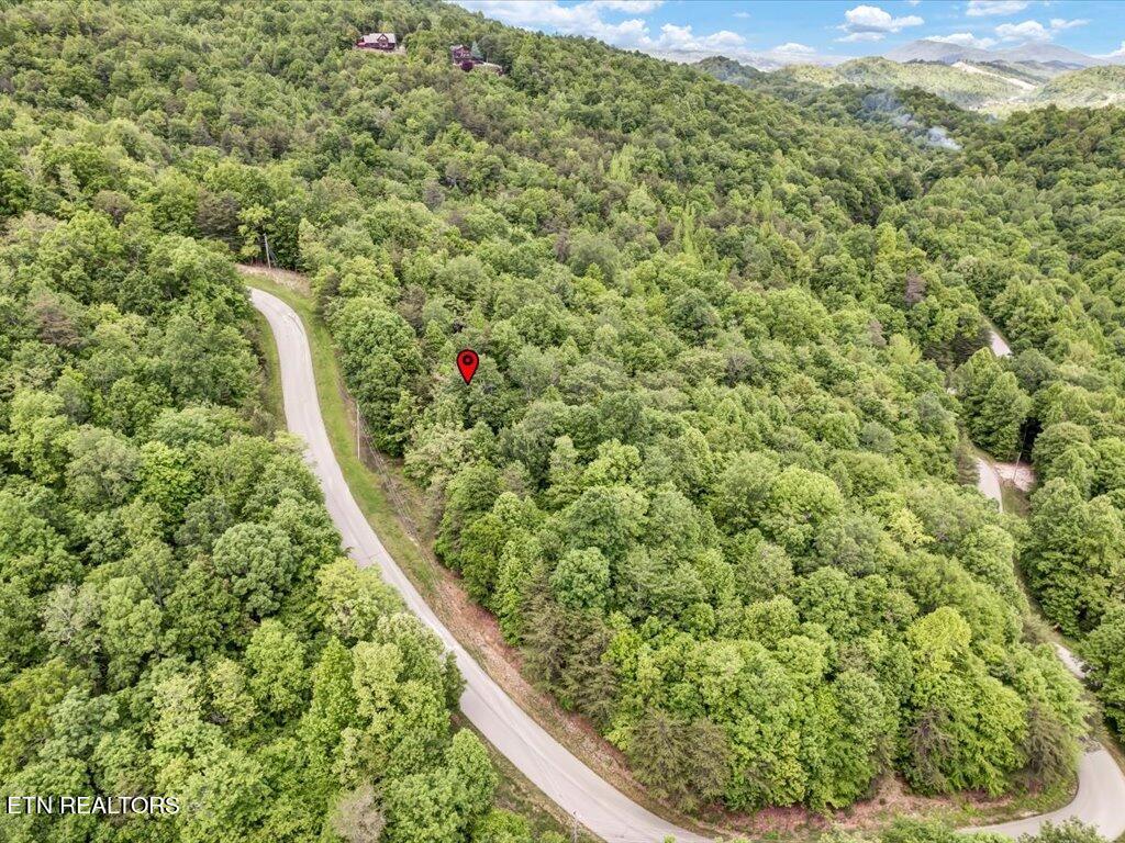 Norris Lake Real Estate - Image# 5