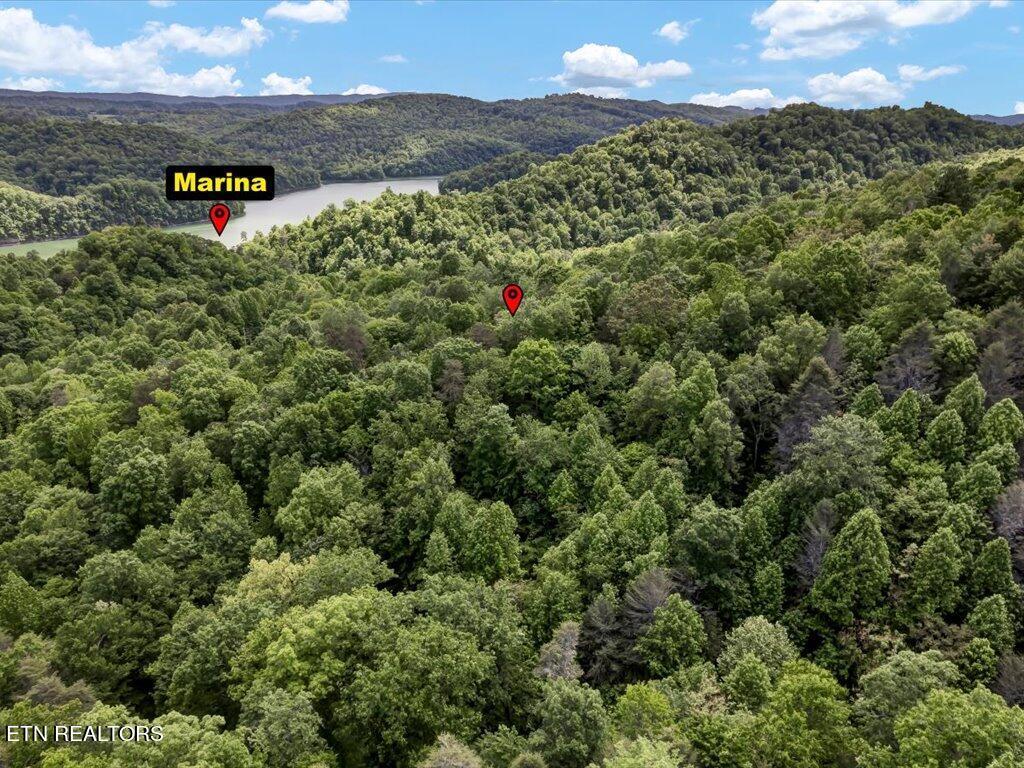 Norris Lake Real Estate - Image# 14