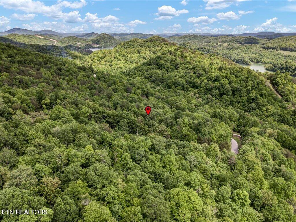 Norris Lake Real Estate - Image# 16