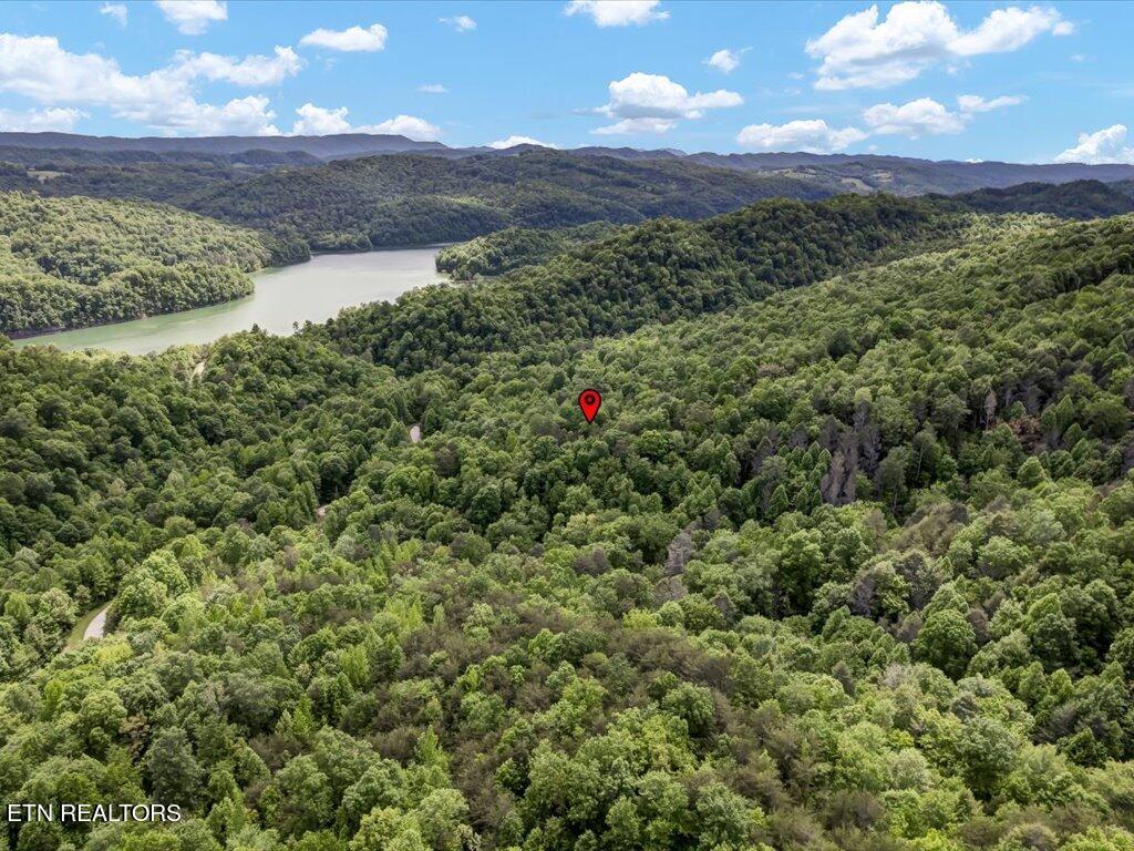 Norris Lake Real Estate - Image# 21