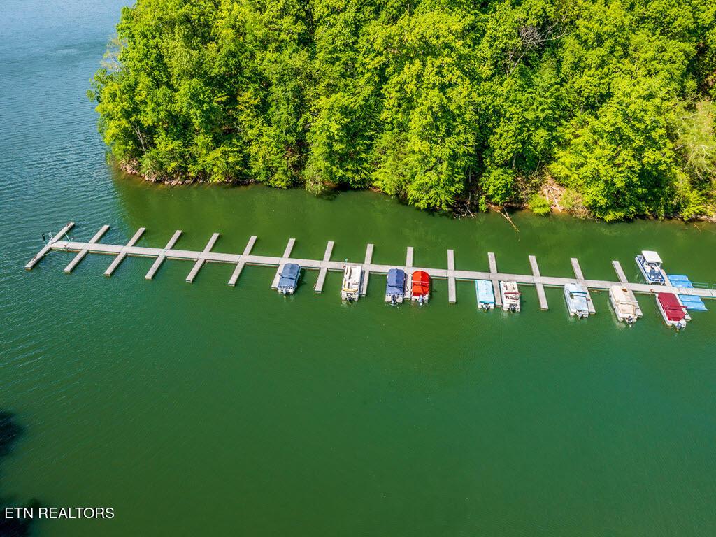 Norris Lake Real Estate - Image# 28