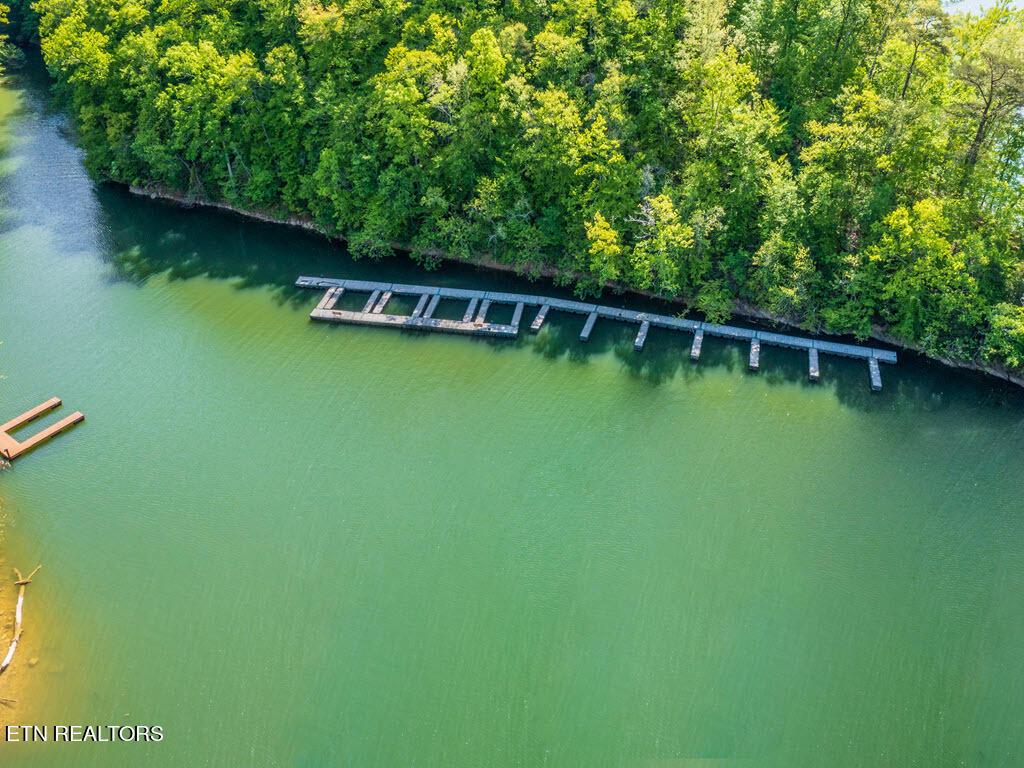 Norris Lake Real Estate - Image# 29