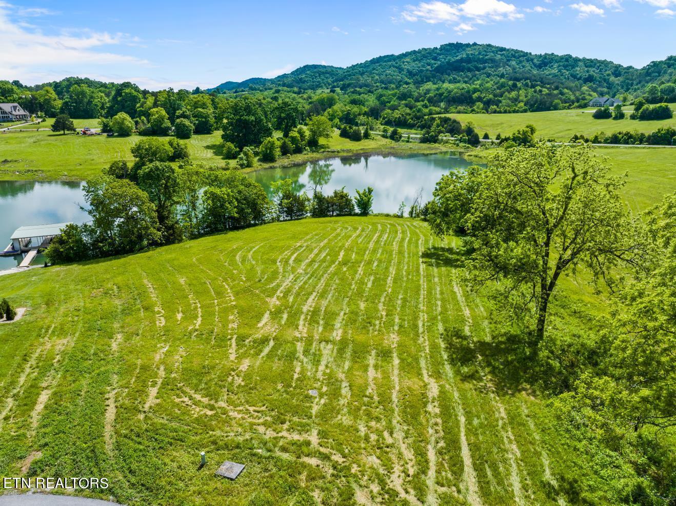 Norris Lake Real Estate - Image# 19