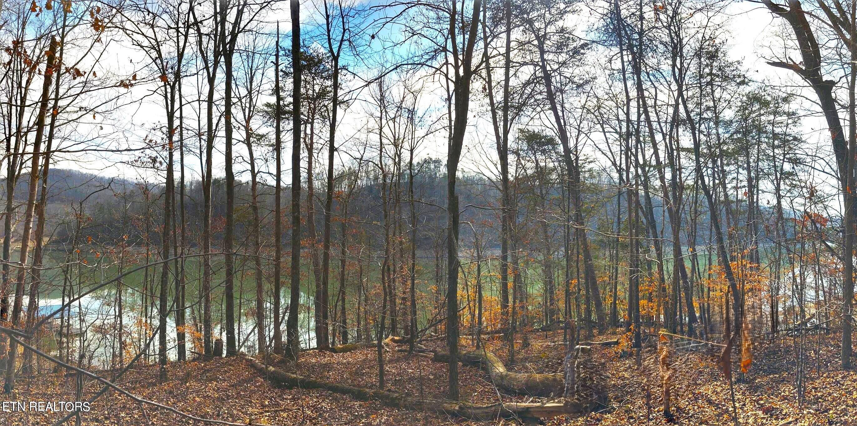 Norris Lake Real Estate - Image# 4