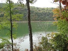 Norris Lake Real Estate - Image# 6