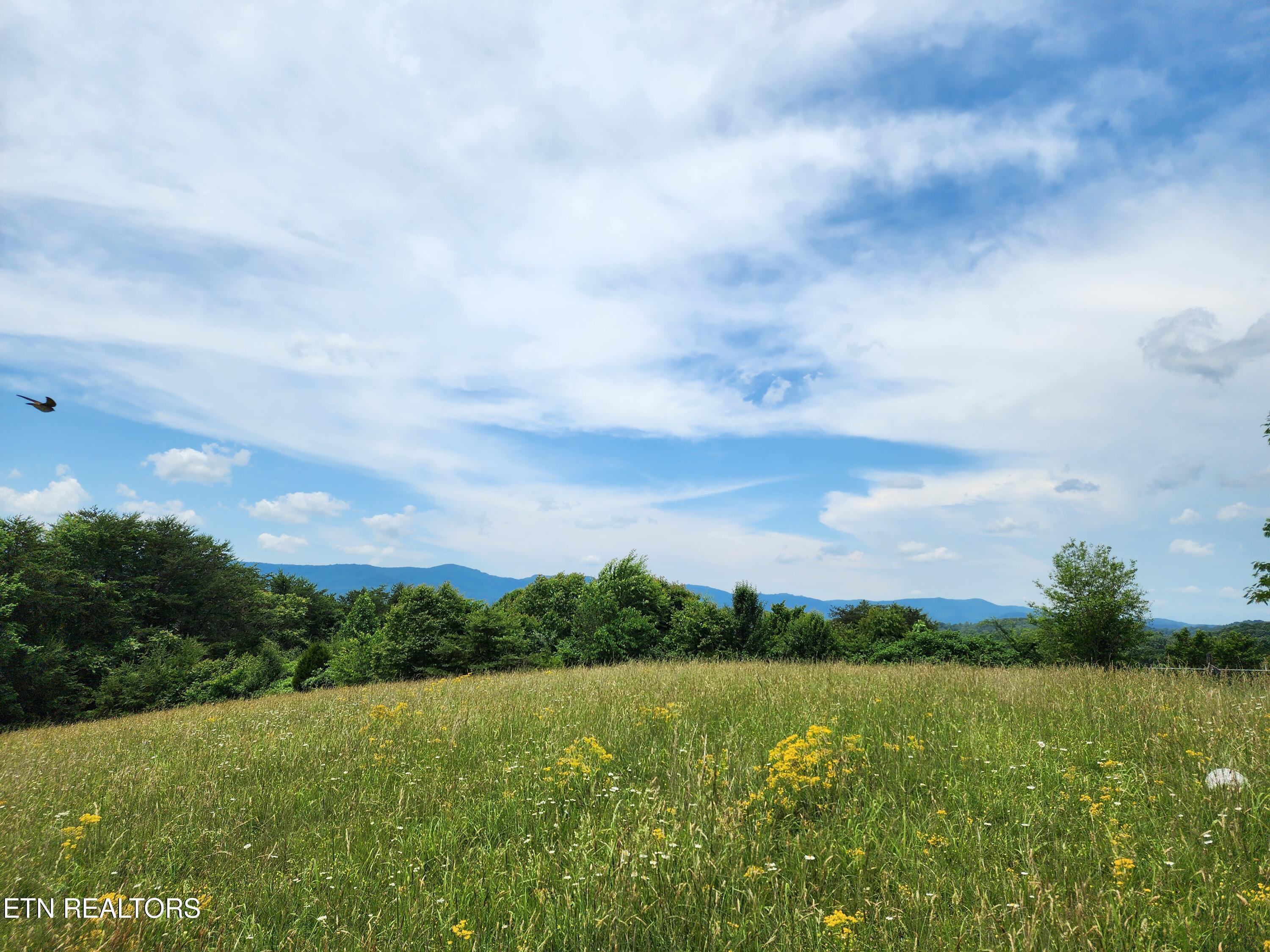 Norris Lake Real Estate - Image# 1