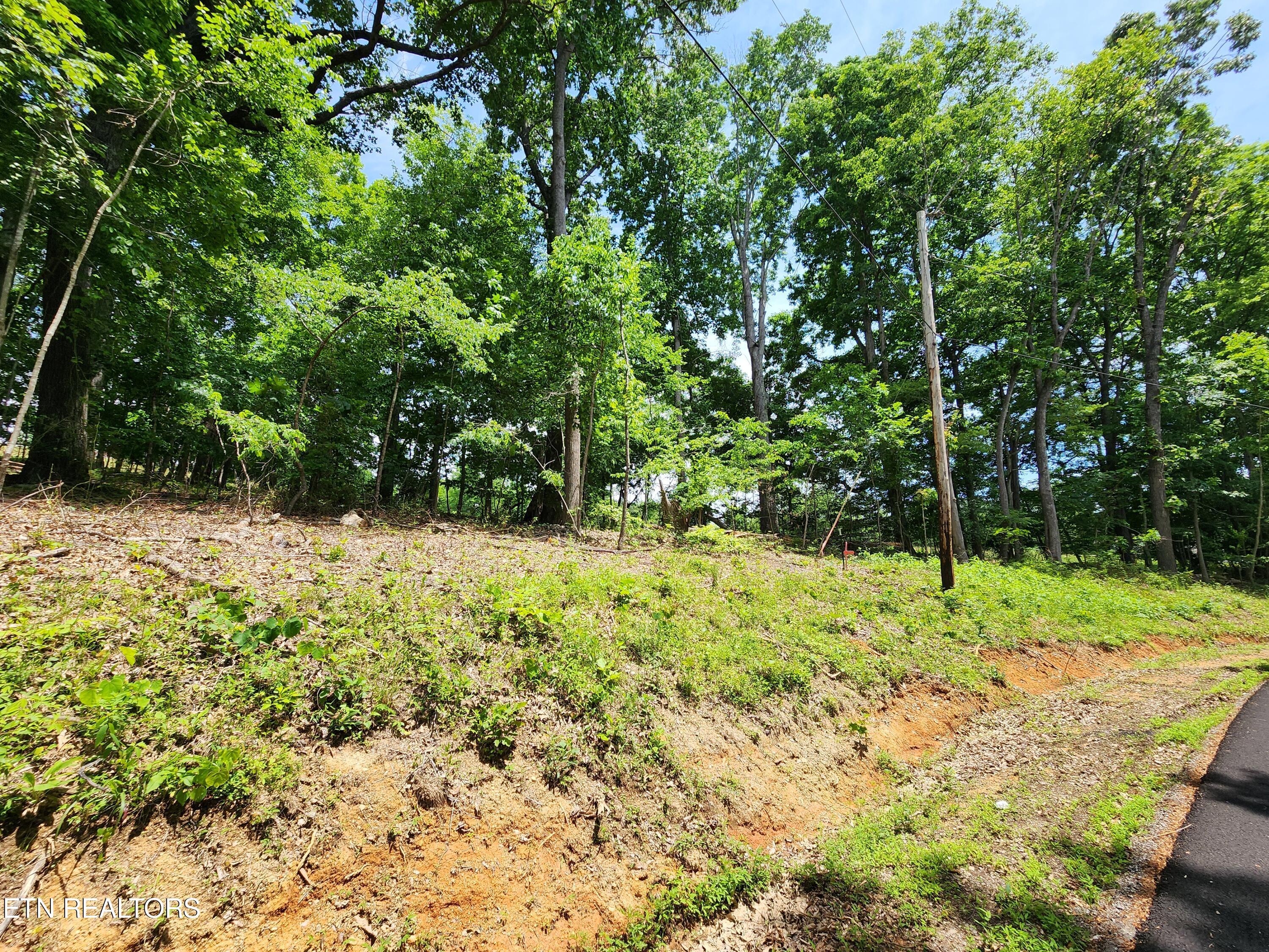 Norris Lake Real Estate - Image# 9