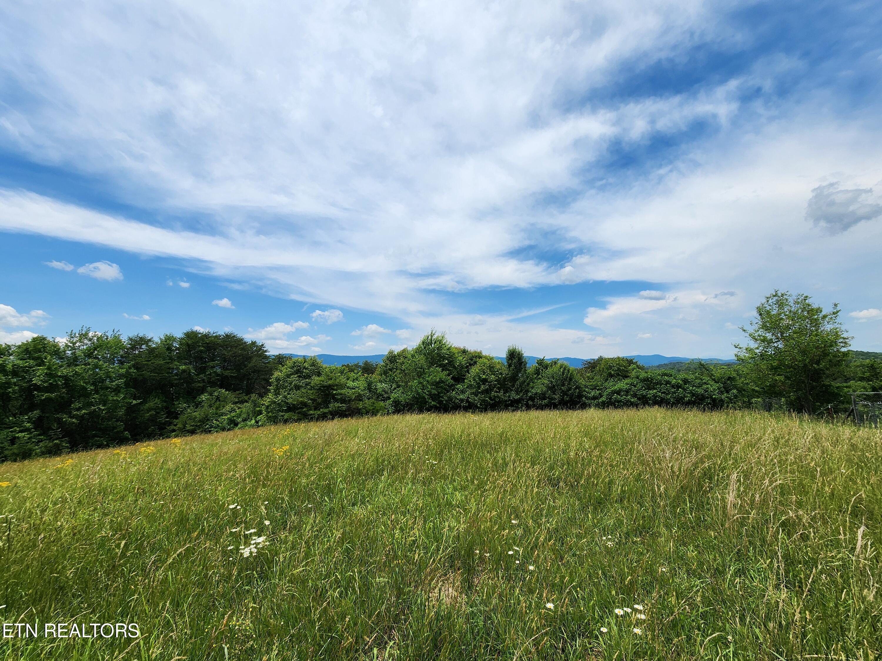 Norris Lake Real Estate - Image# 24