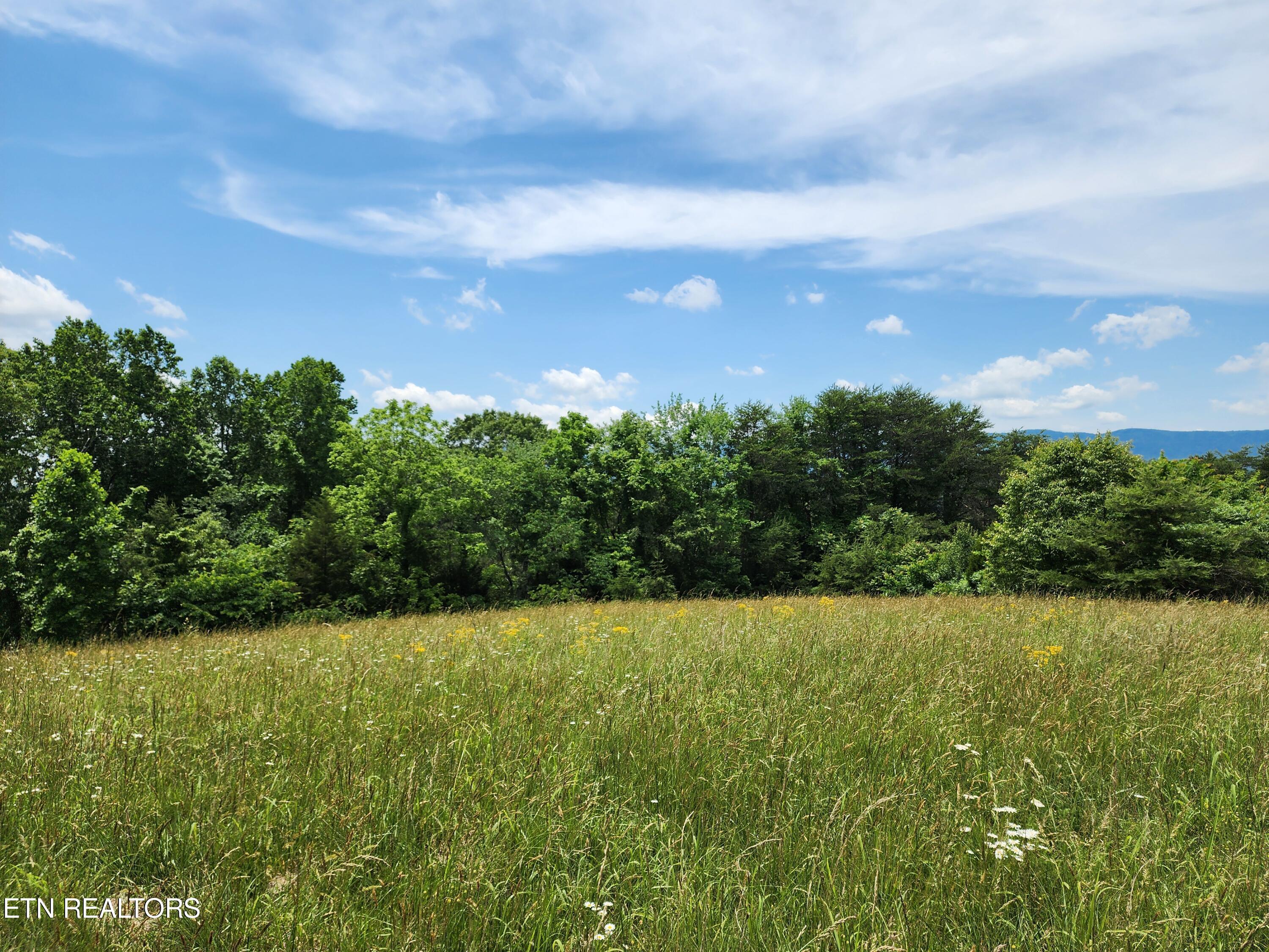 Norris Lake Real Estate - Image# 25