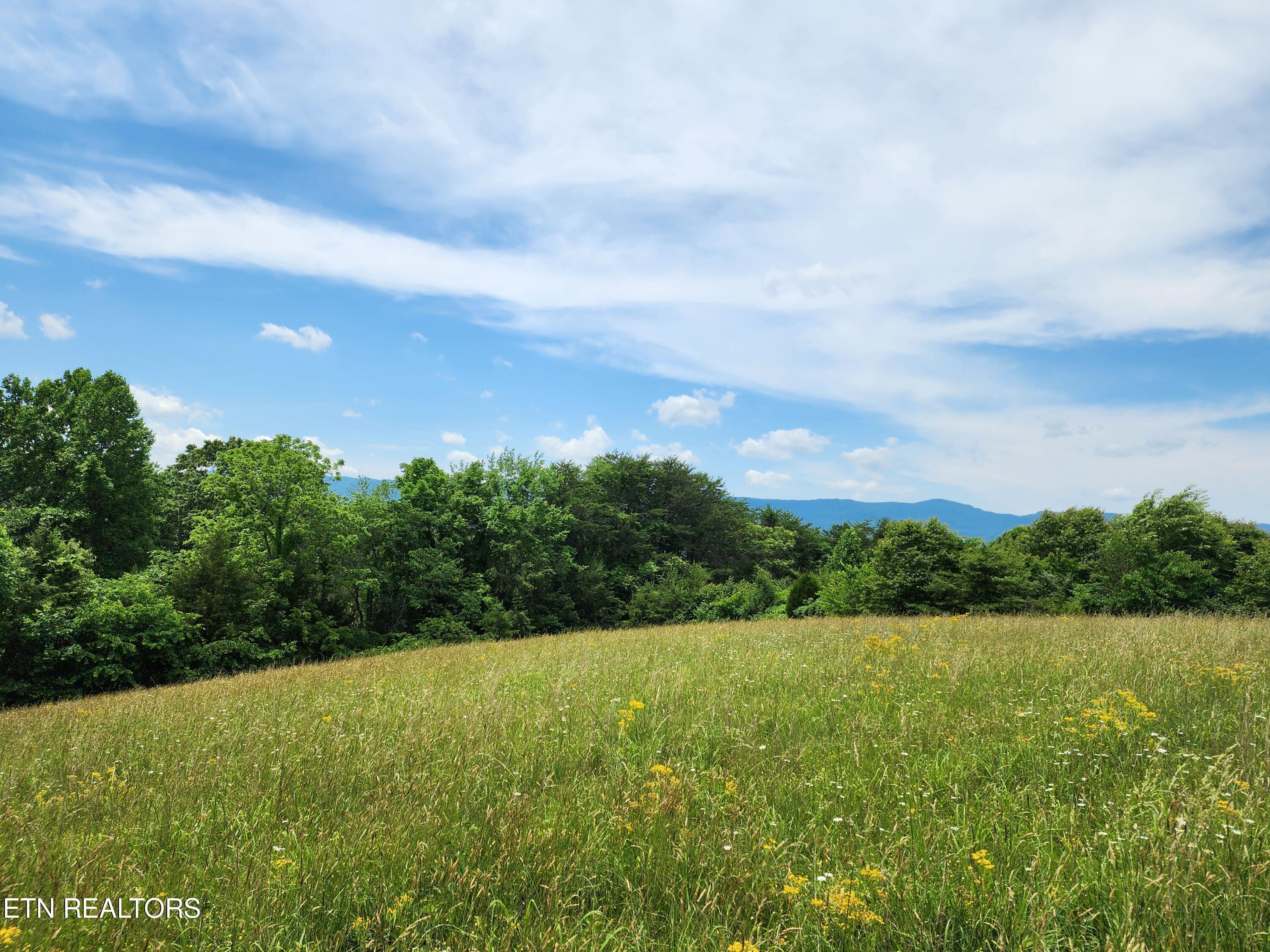 Norris Lake Real Estate - Image# 26