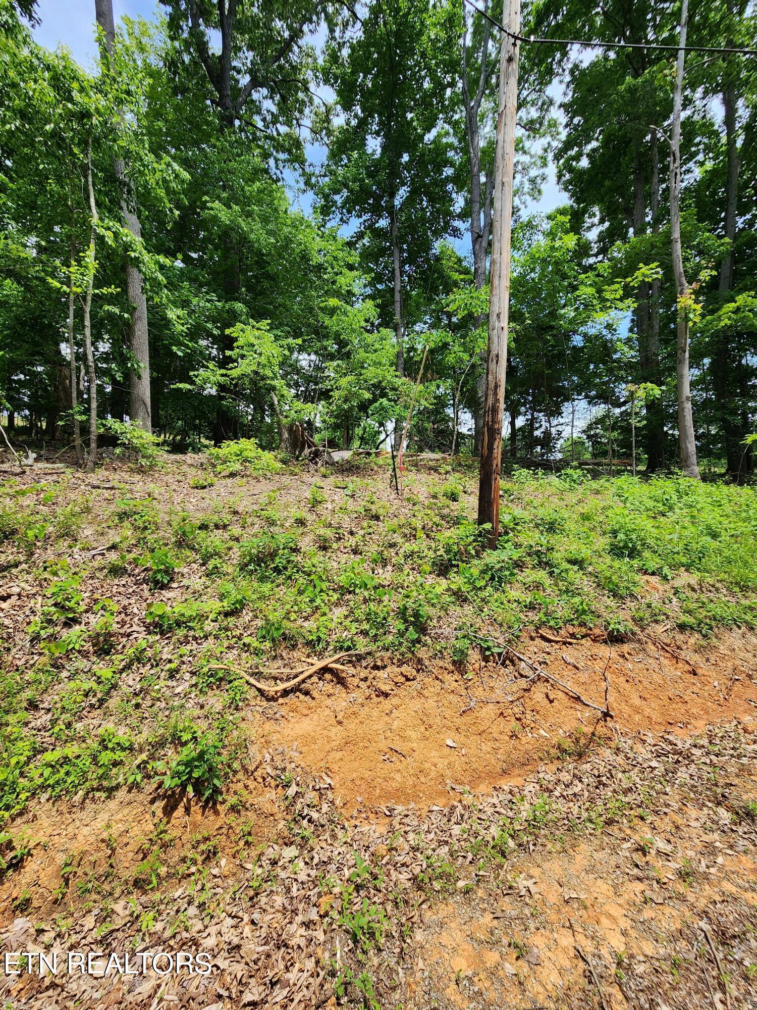 Norris Lake Real Estate - Image# 14