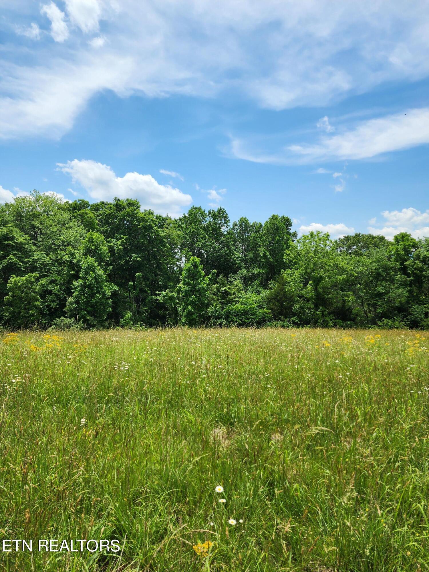 Norris Lake Real Estate - Image# 22