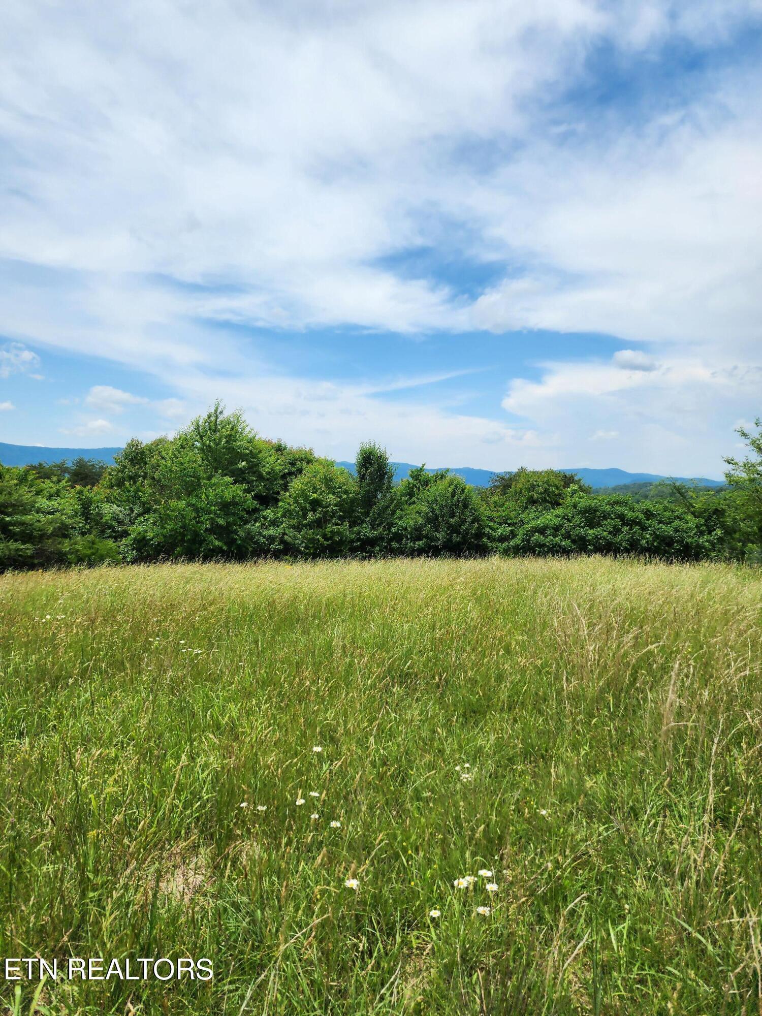 Norris Lake Real Estate - Image# 23