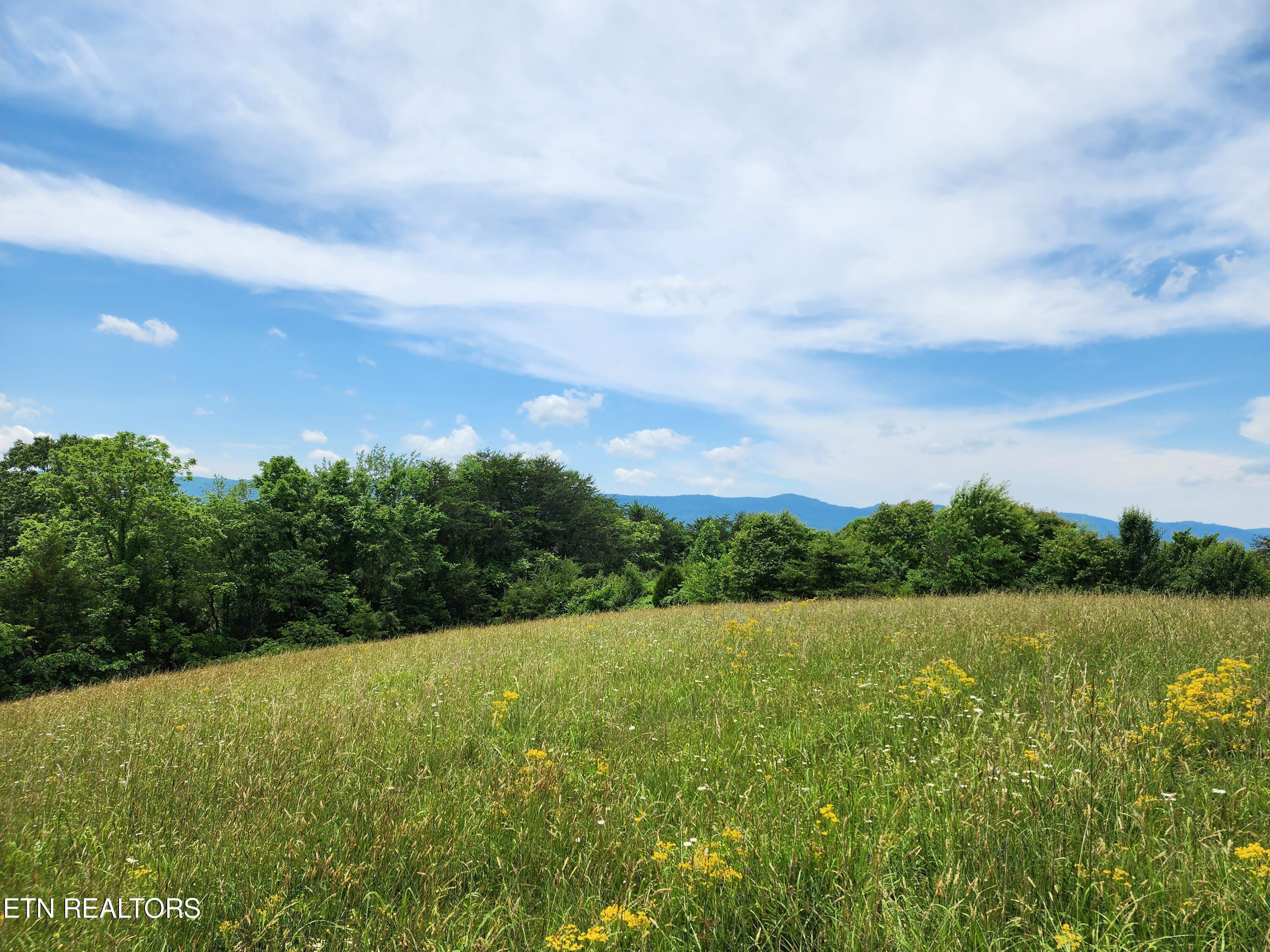 Norris Lake Real Estate - Image# 2