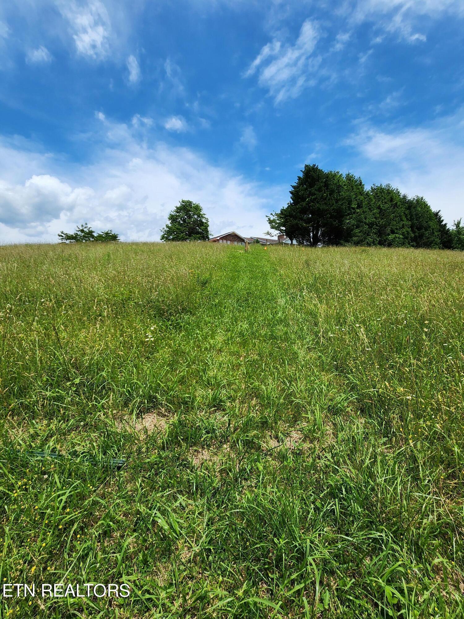 Norris Lake Real Estate - Image# 3