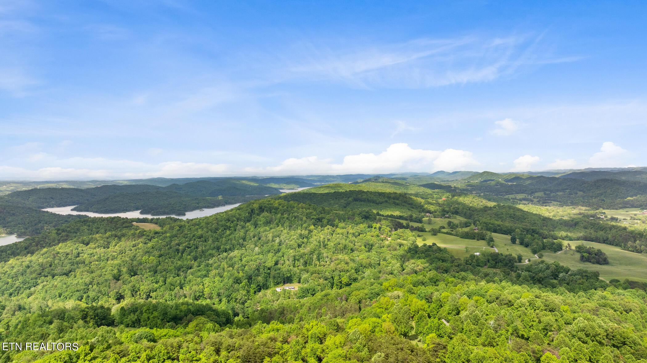 Norris Lake Real Estate - Image# 6