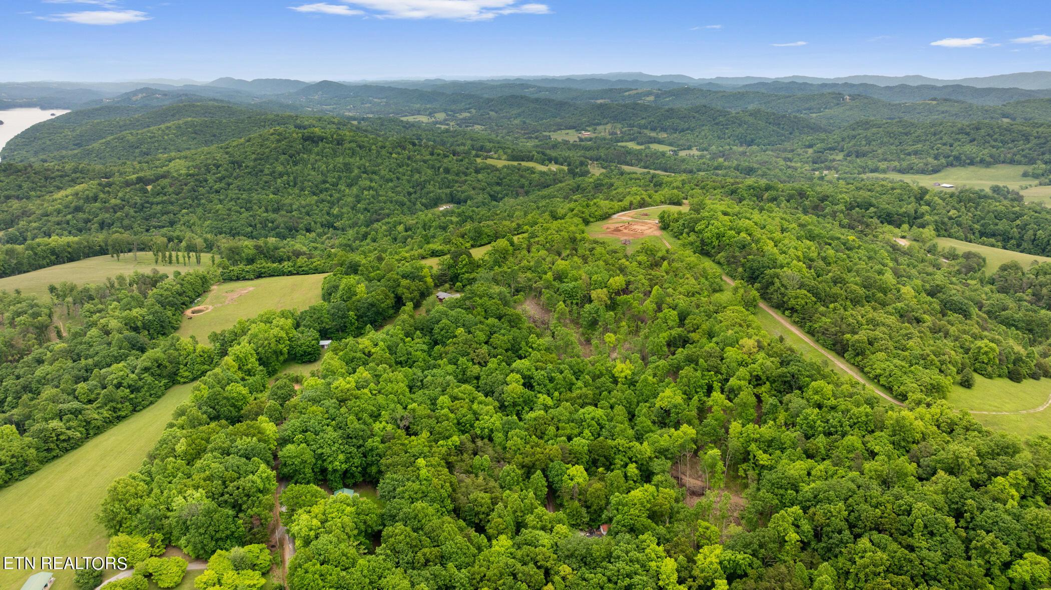 Norris Lake Real Estate - Image# 10