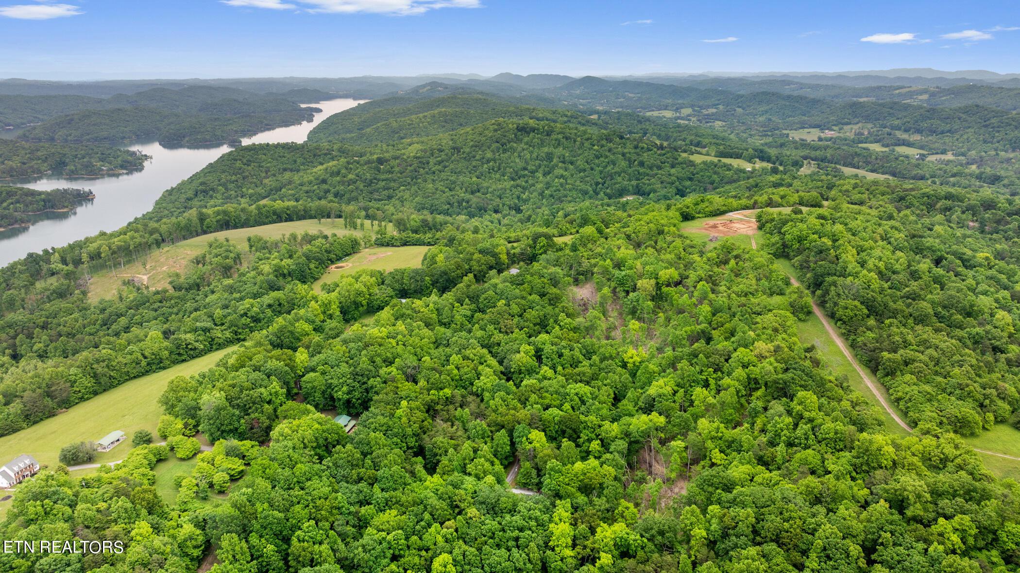 Norris Lake Real Estate - Image# 11